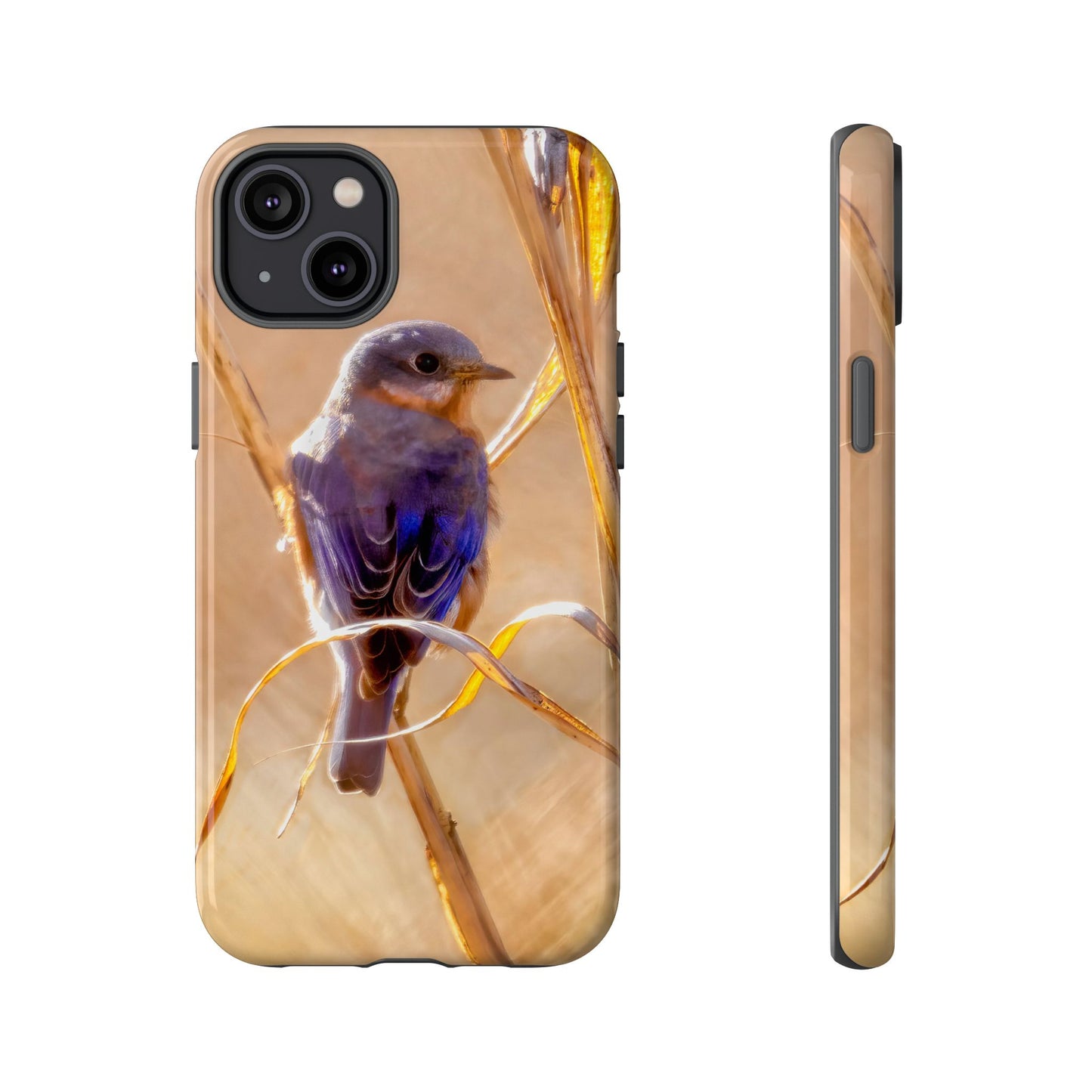 Eastern Bluebird - Tough Phone Case