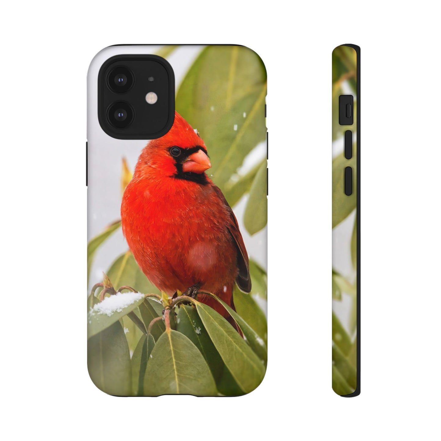 Male Cardinal - Tough Phone Case