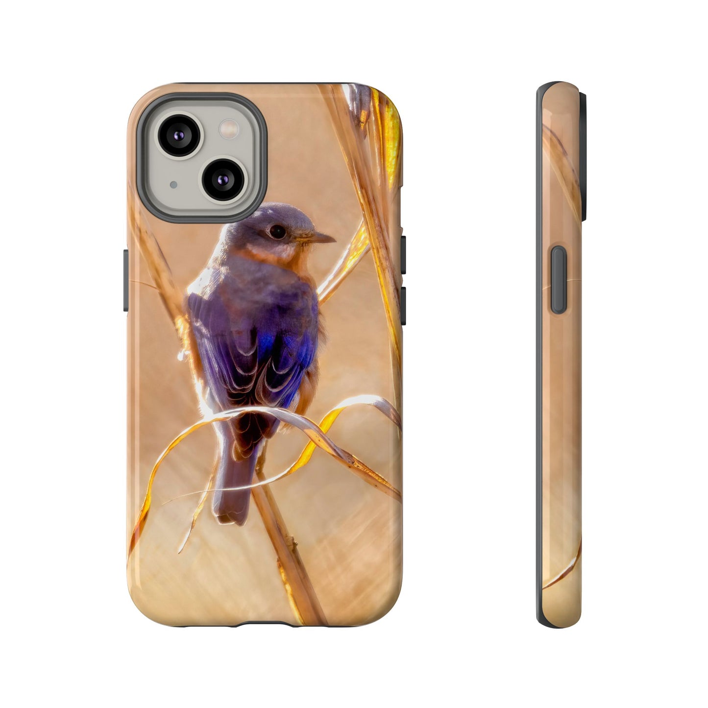 Eastern Bluebird - Tough Phone Case