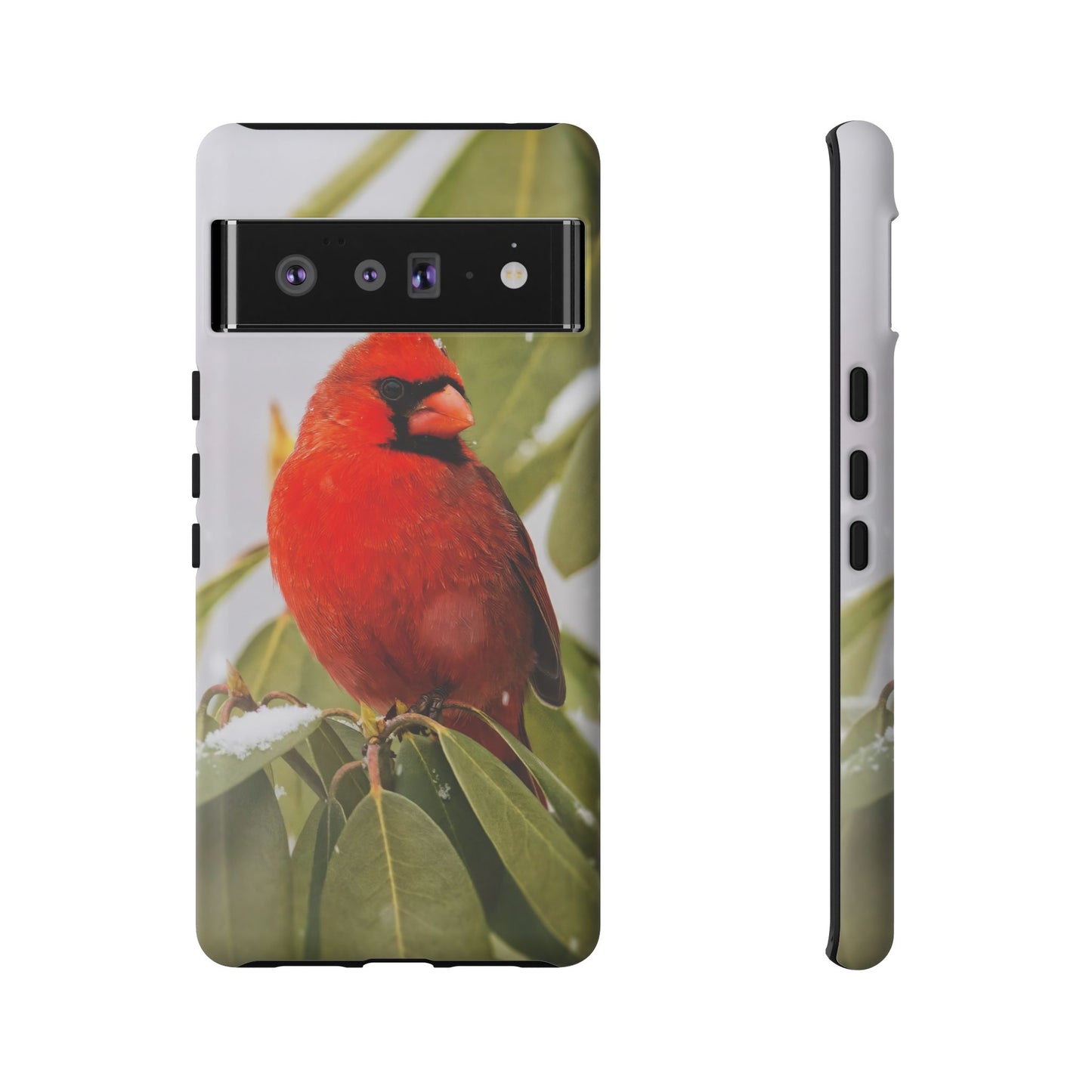 Male Cardinal - Tough Phone Case
