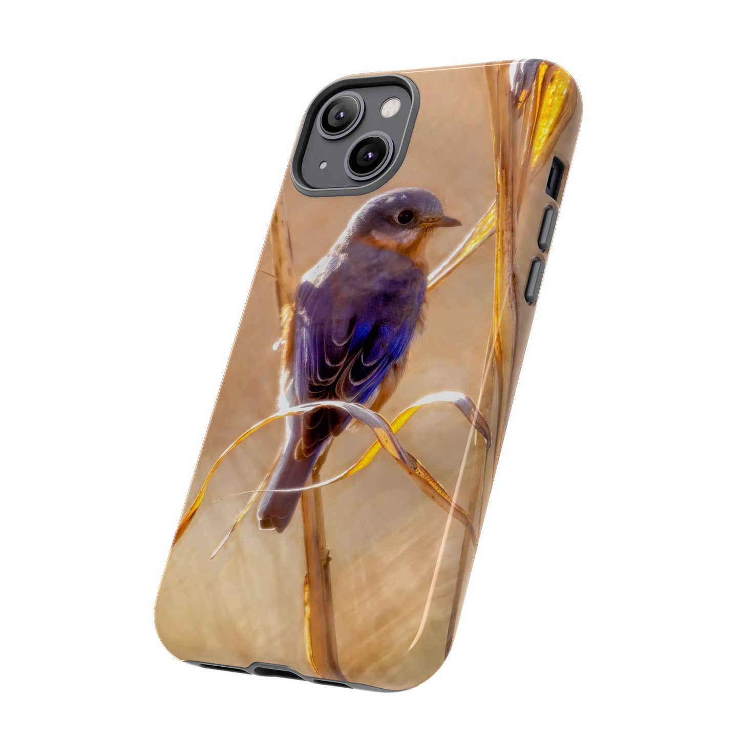 Eastern Bluebird - Tough Phone Case