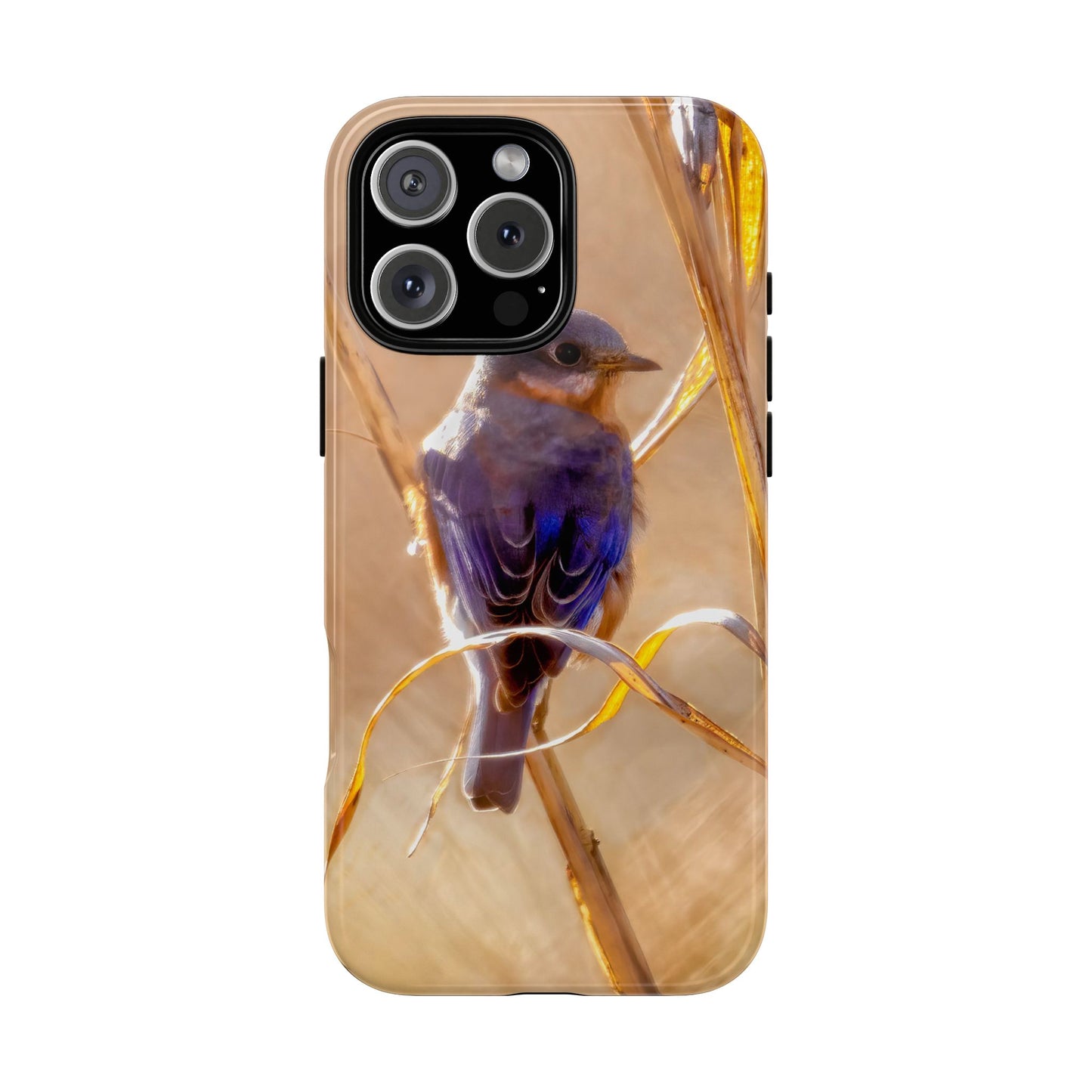Eastern Bluebird - Tough Phone Case