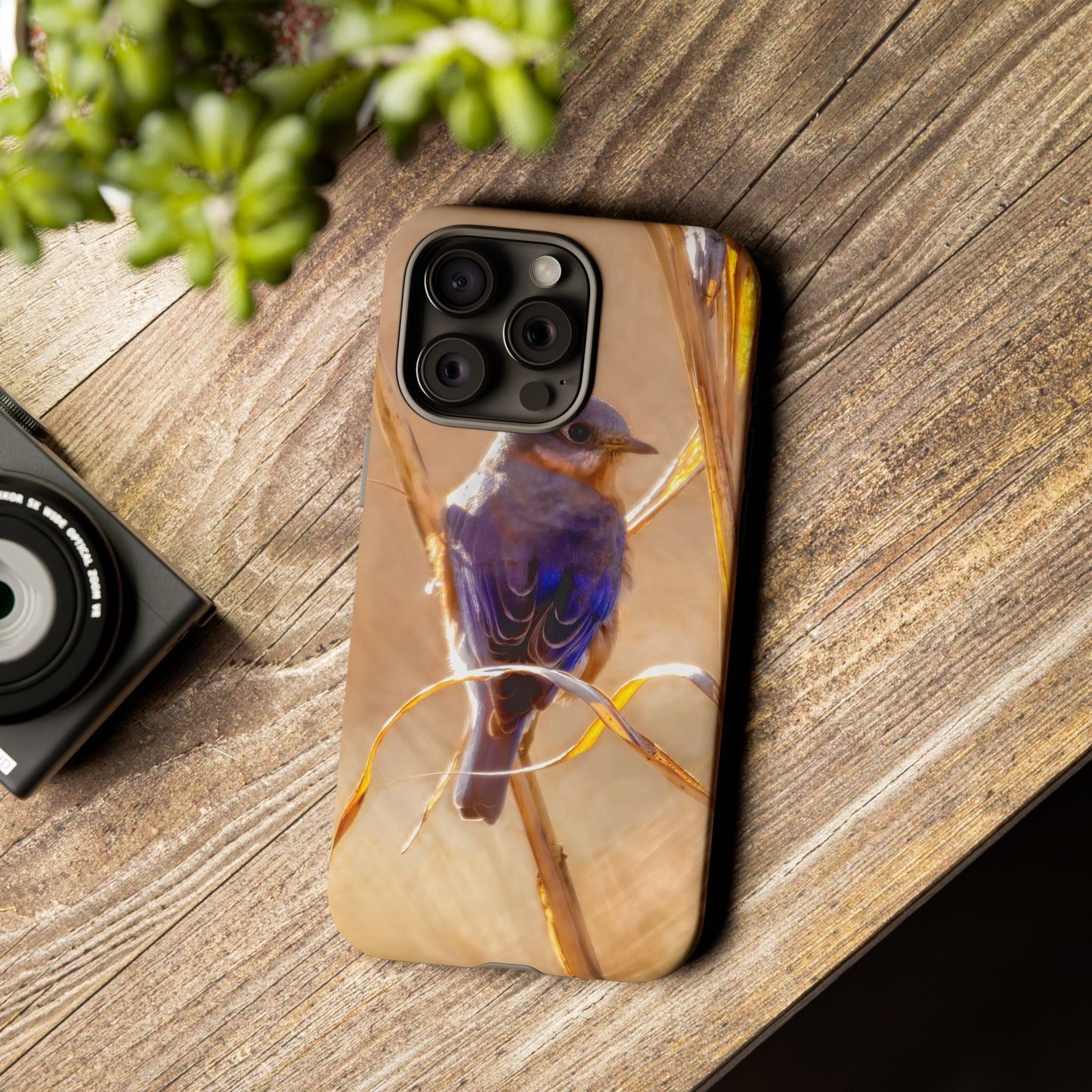 Eastern Bluebird - Tough Phone Case