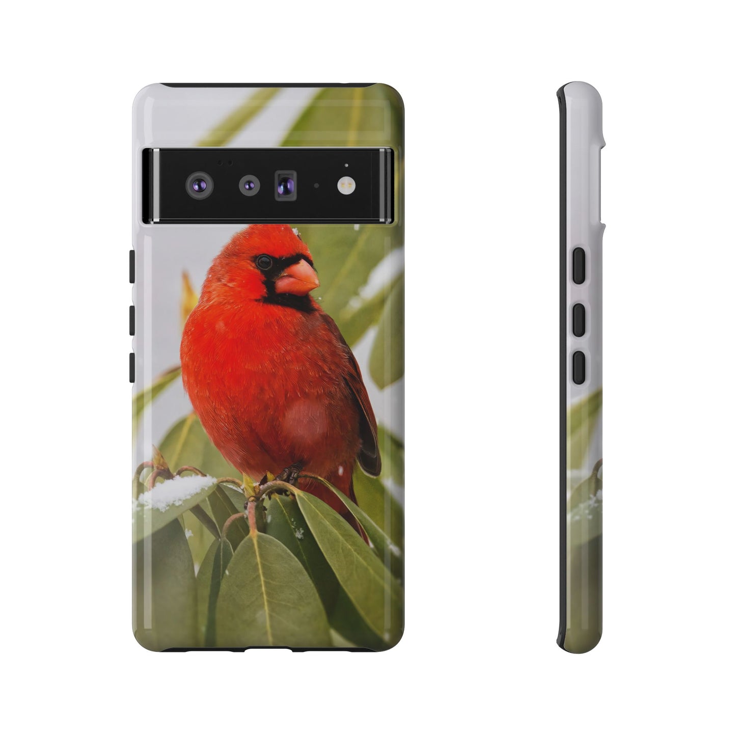 Male Cardinal - Tough Phone Case