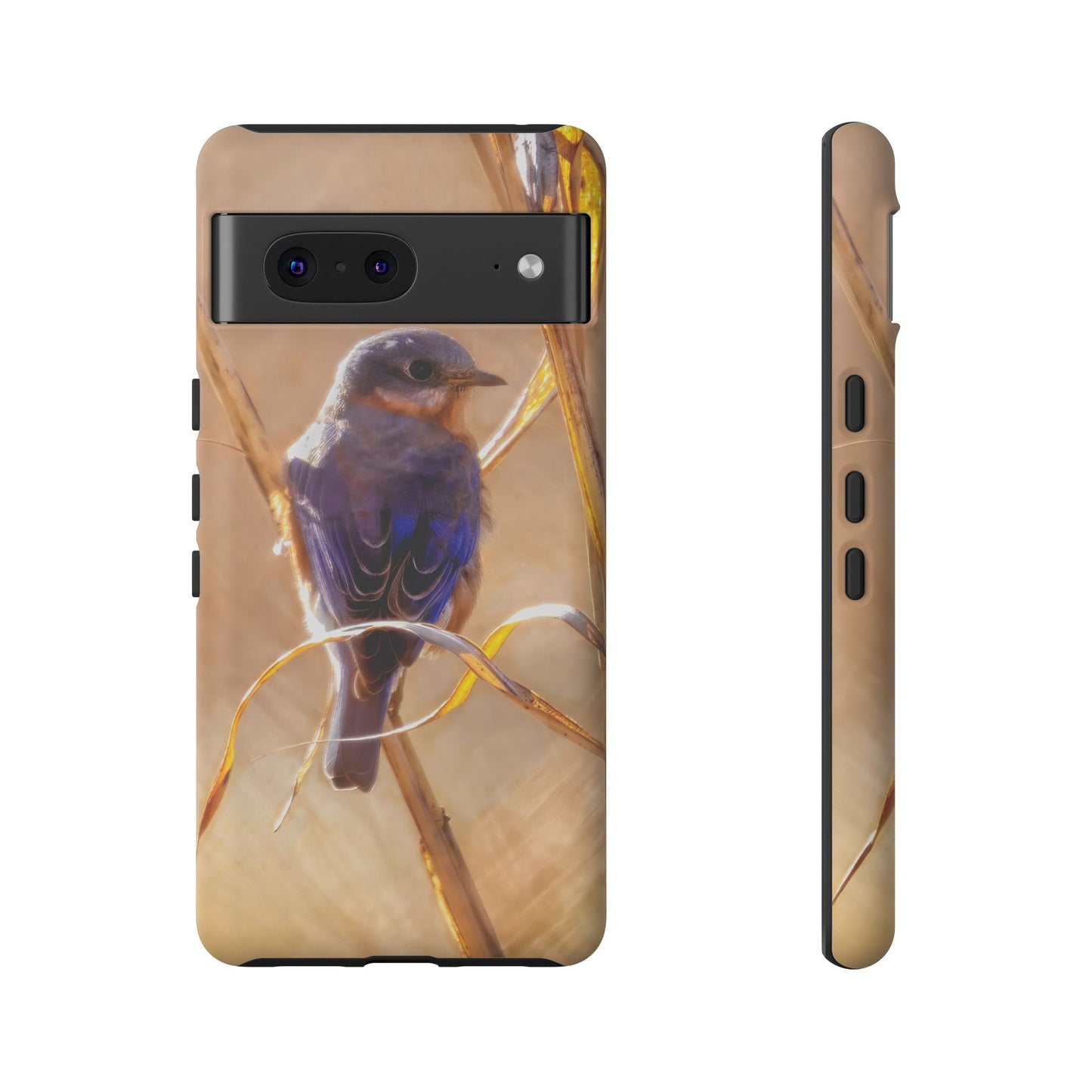 Eastern Bluebird - Tough Phone Case