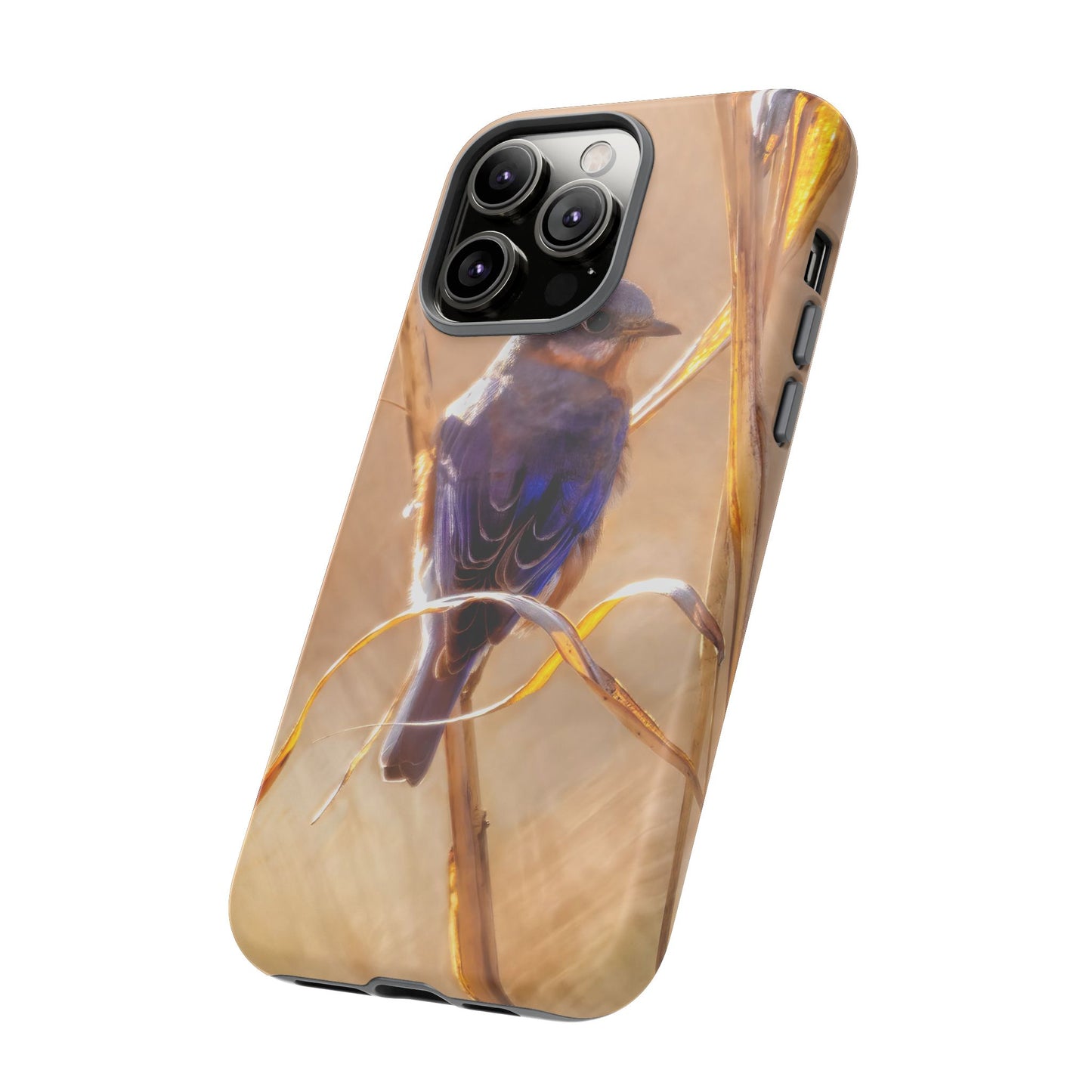 Eastern Bluebird - Tough Phone Case