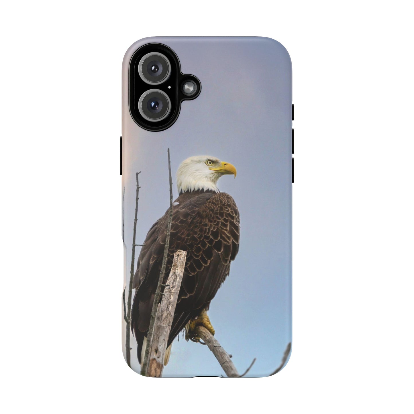 American Bald Eagle - Tough Phone Case