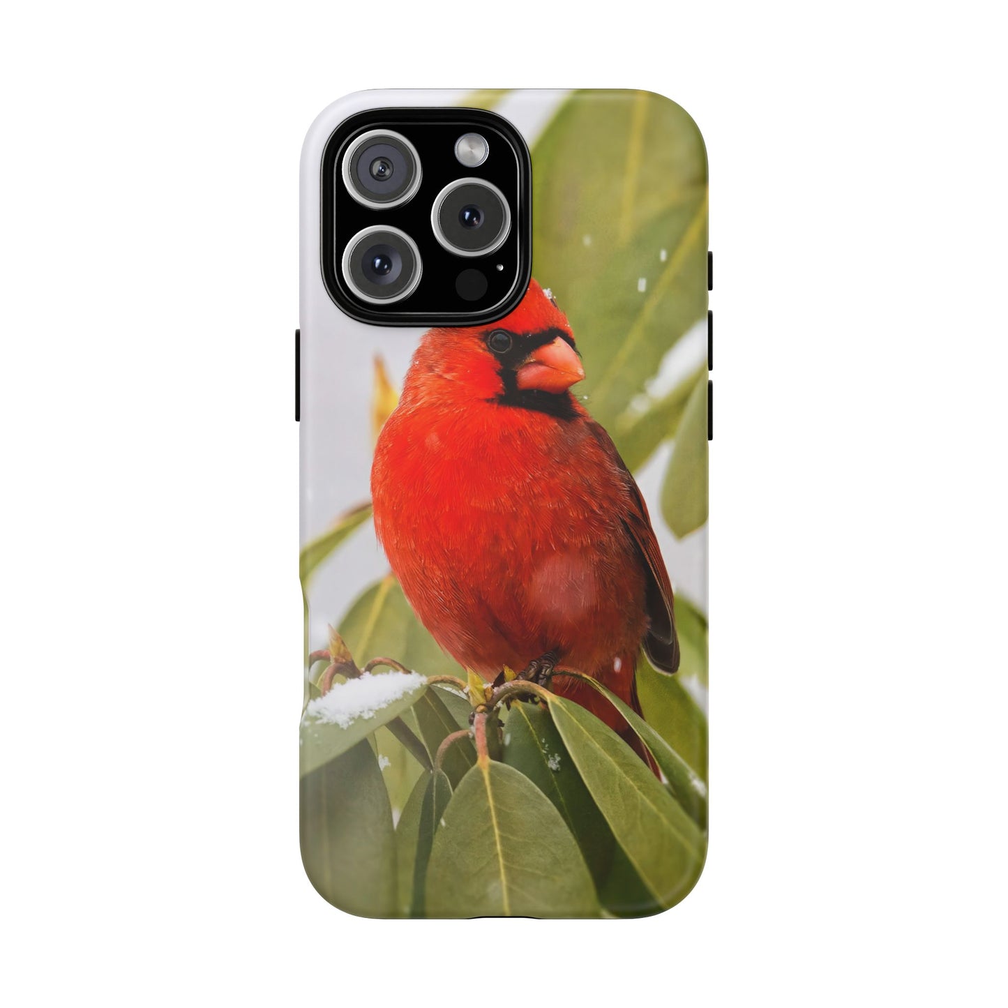 Male Cardinal - Tough Phone Case