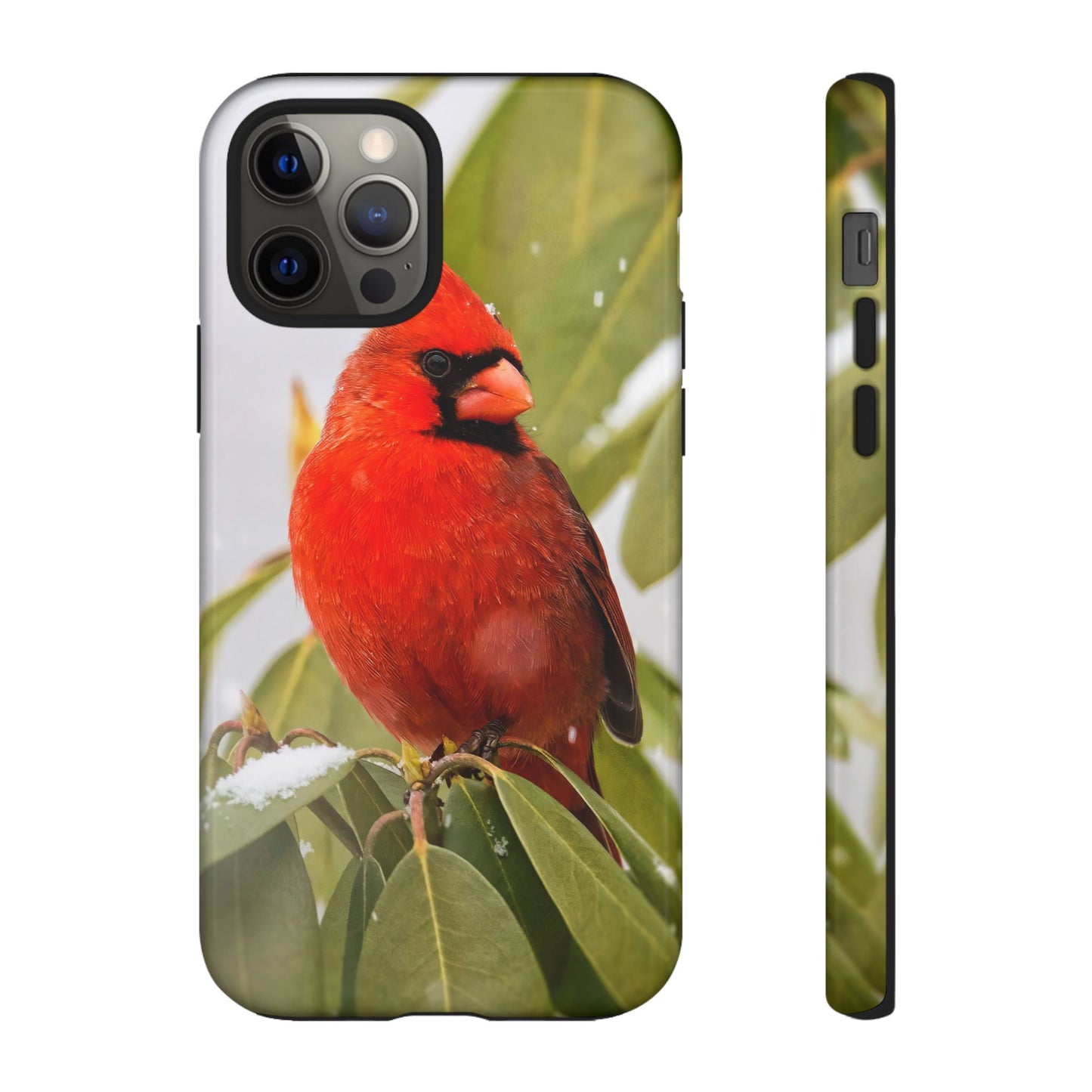 Male Cardinal - Tough Phone Case