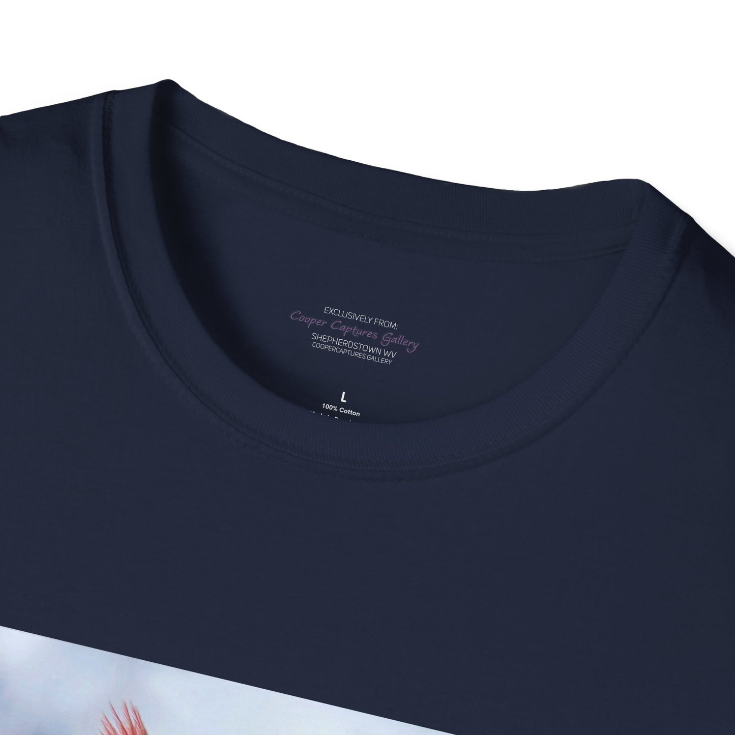 Cardinal Pair's "Snowy Chat" - T-shirt
