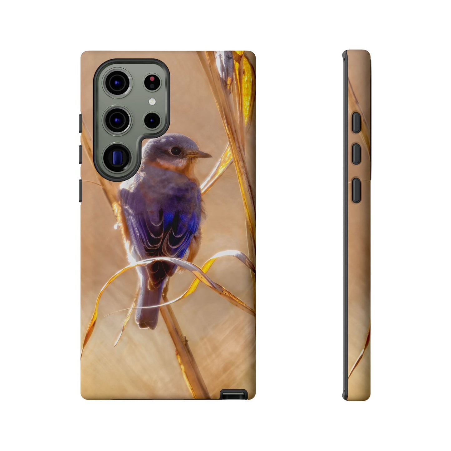 Eastern Bluebird - Tough Phone Case