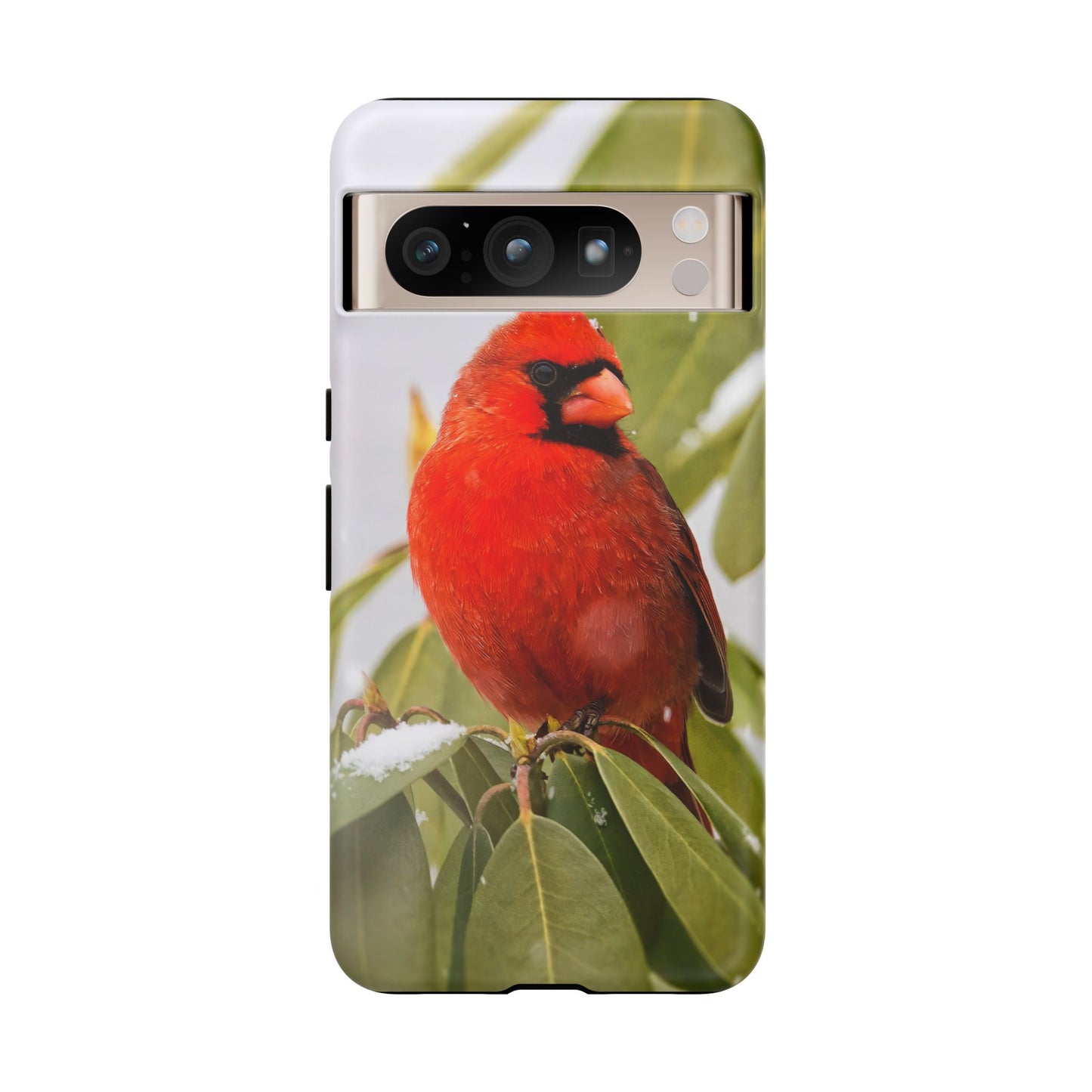 Male Cardinal - Tough Phone Case
