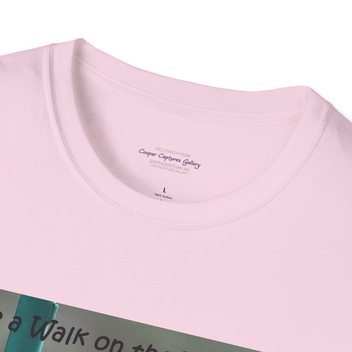 Bluebirds looking at real estate - T-shirt