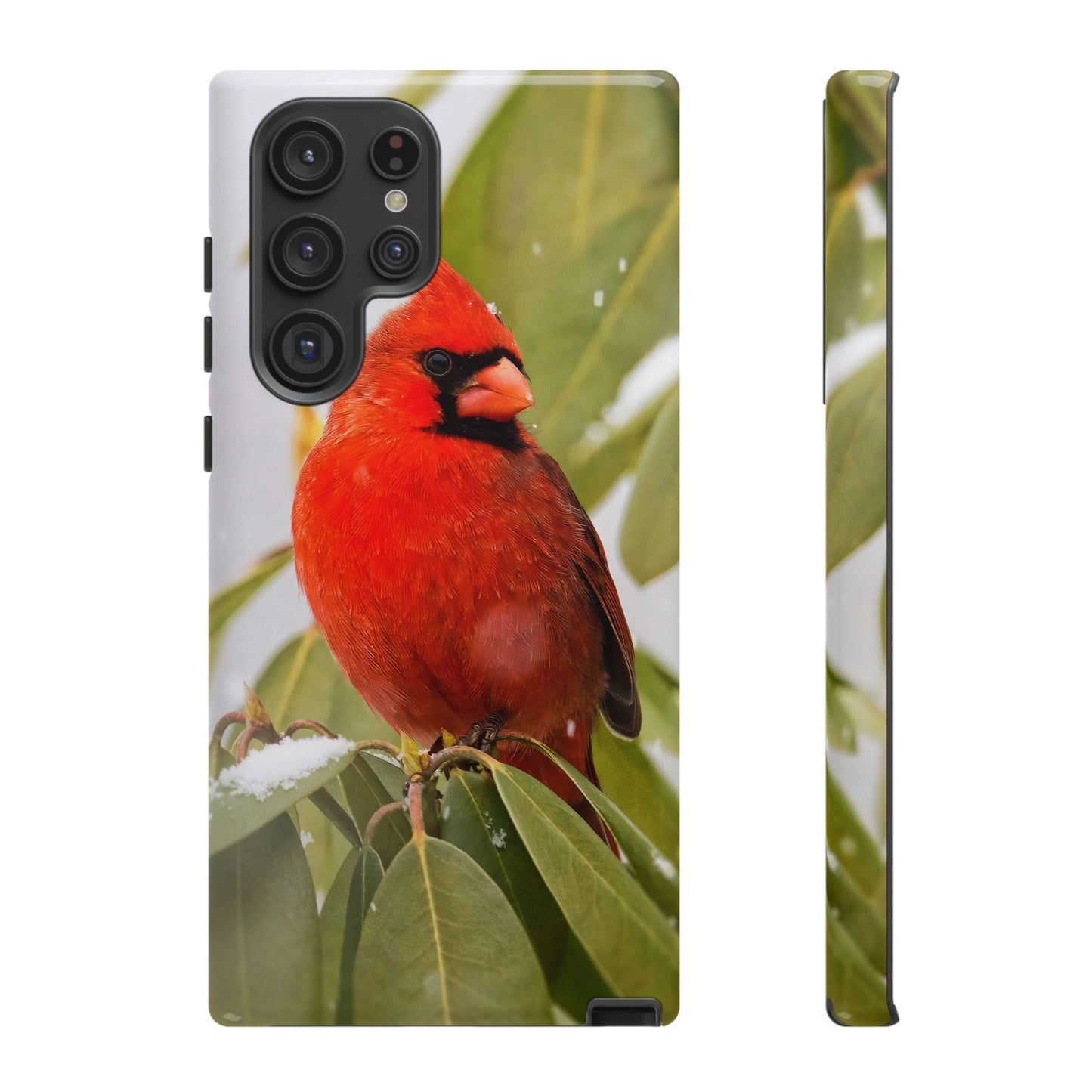 Male Cardinal - Tough Phone Case