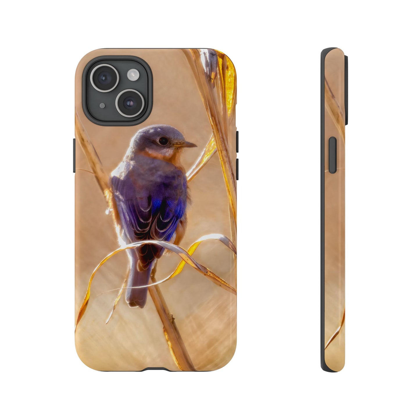 Eastern Bluebird - Tough Phone Case