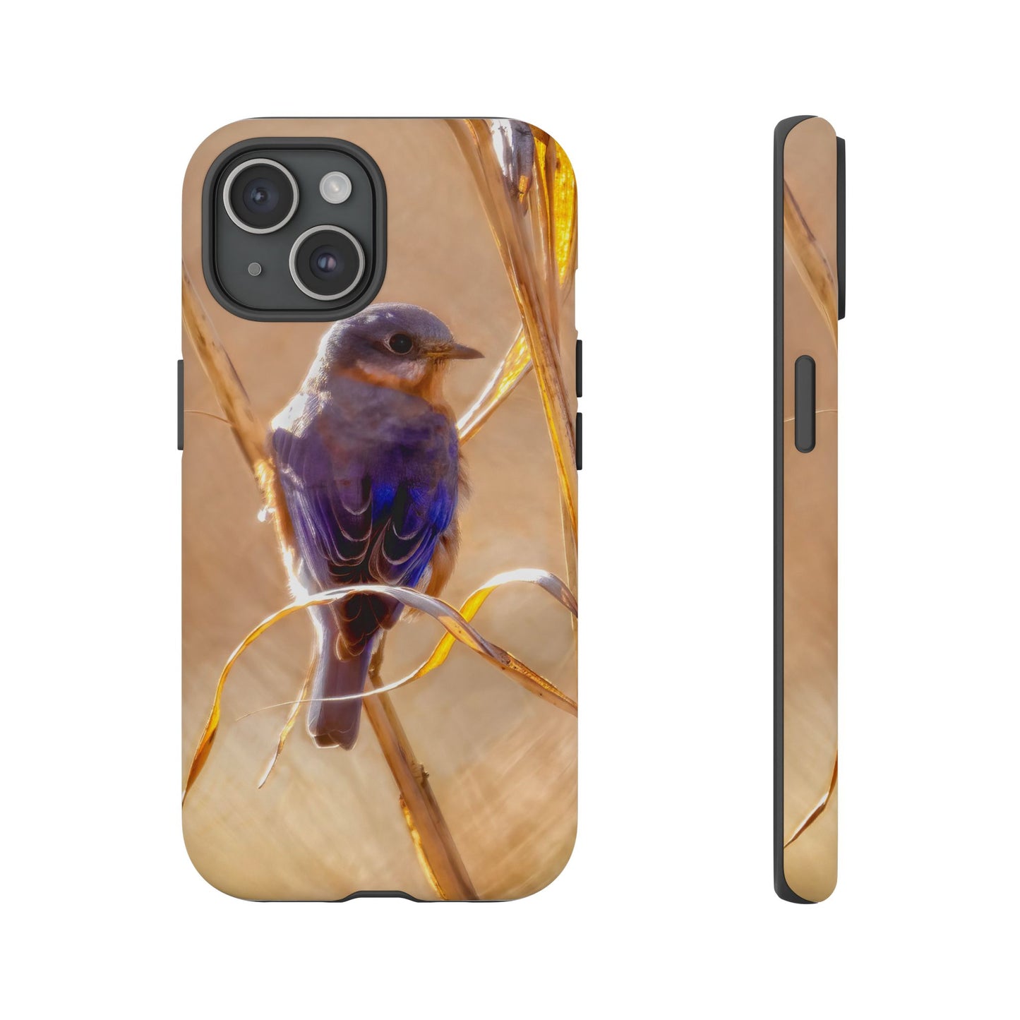 Eastern Bluebird - Tough Phone Case