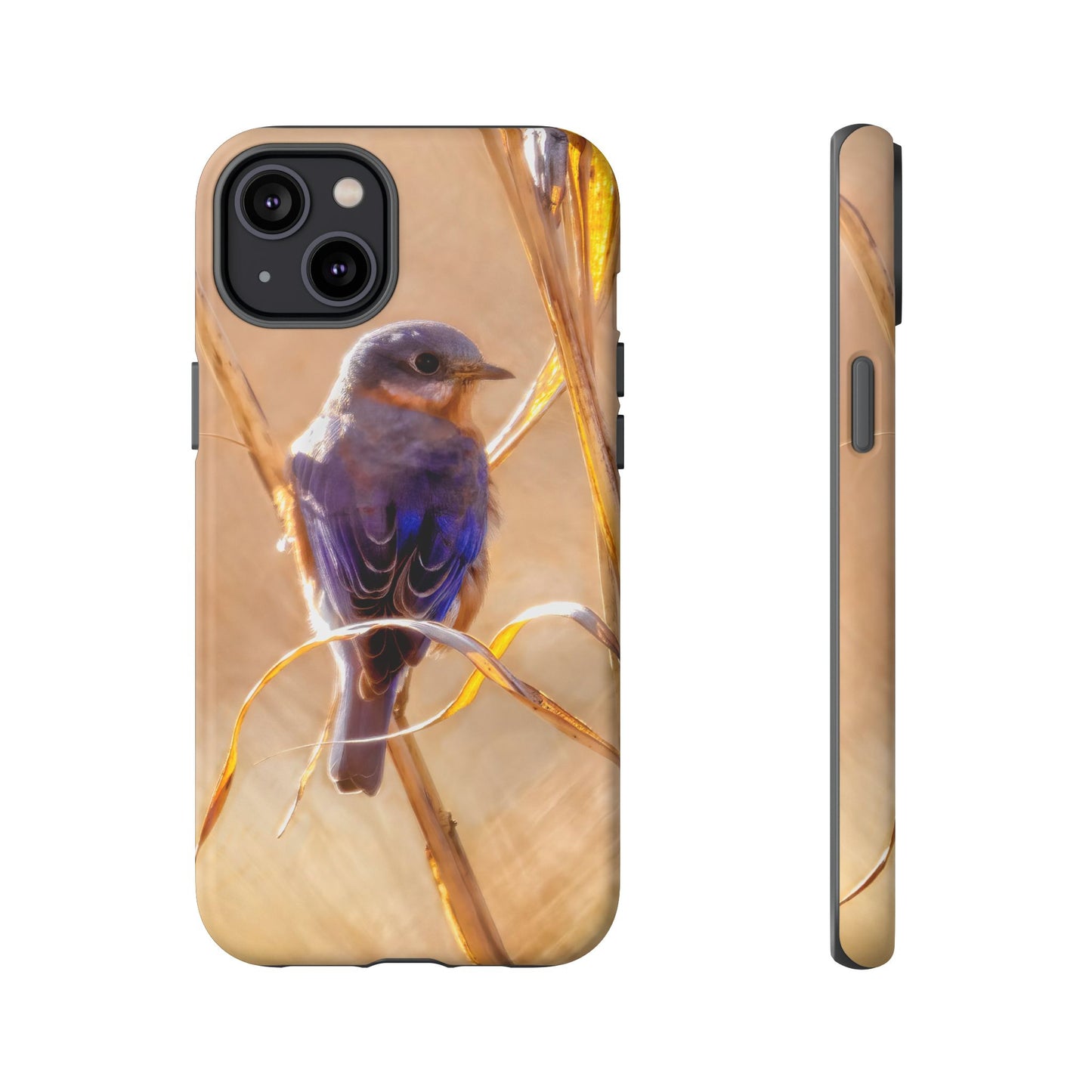 Eastern Bluebird - Tough Phone Case