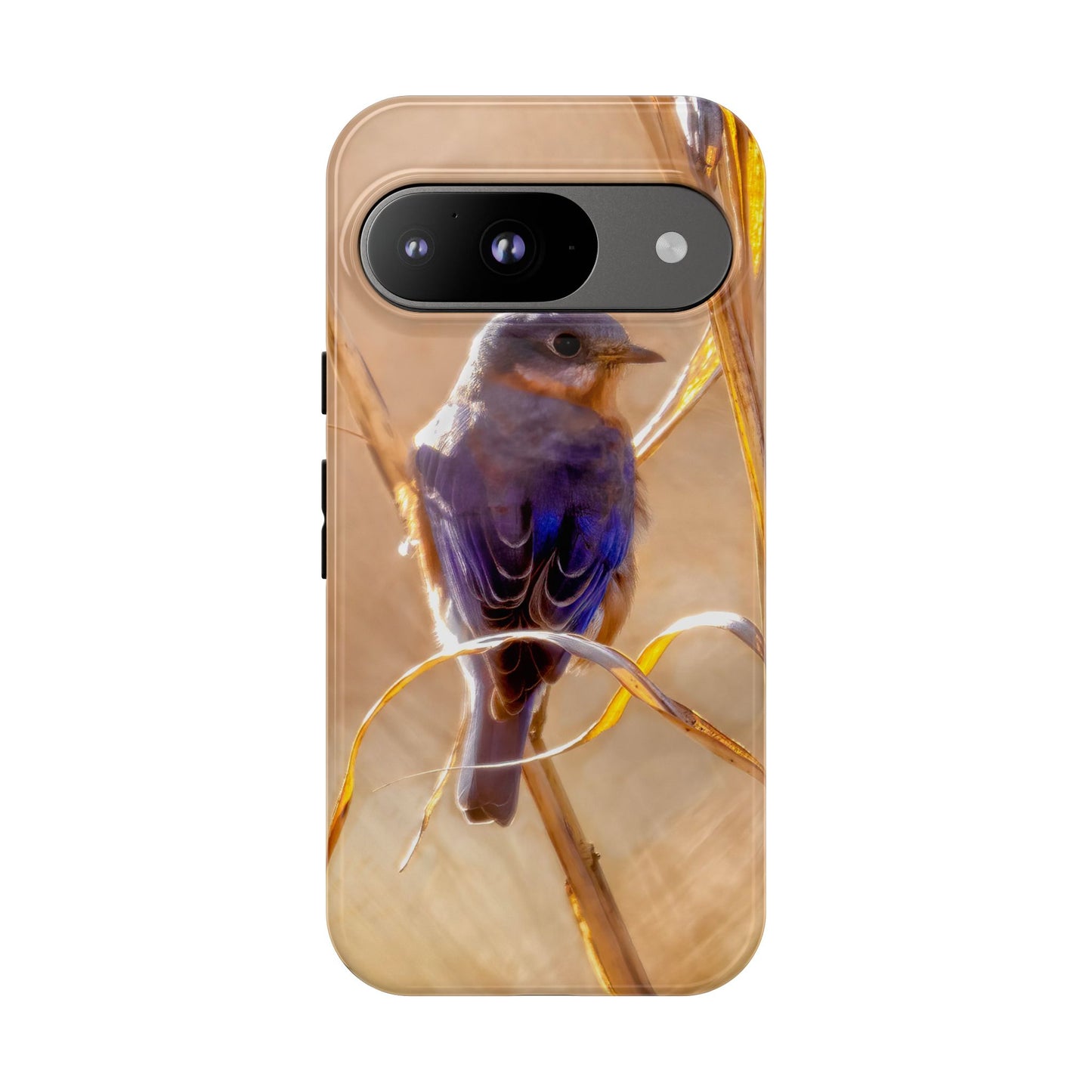 Eastern Bluebird - Tough Phone Case