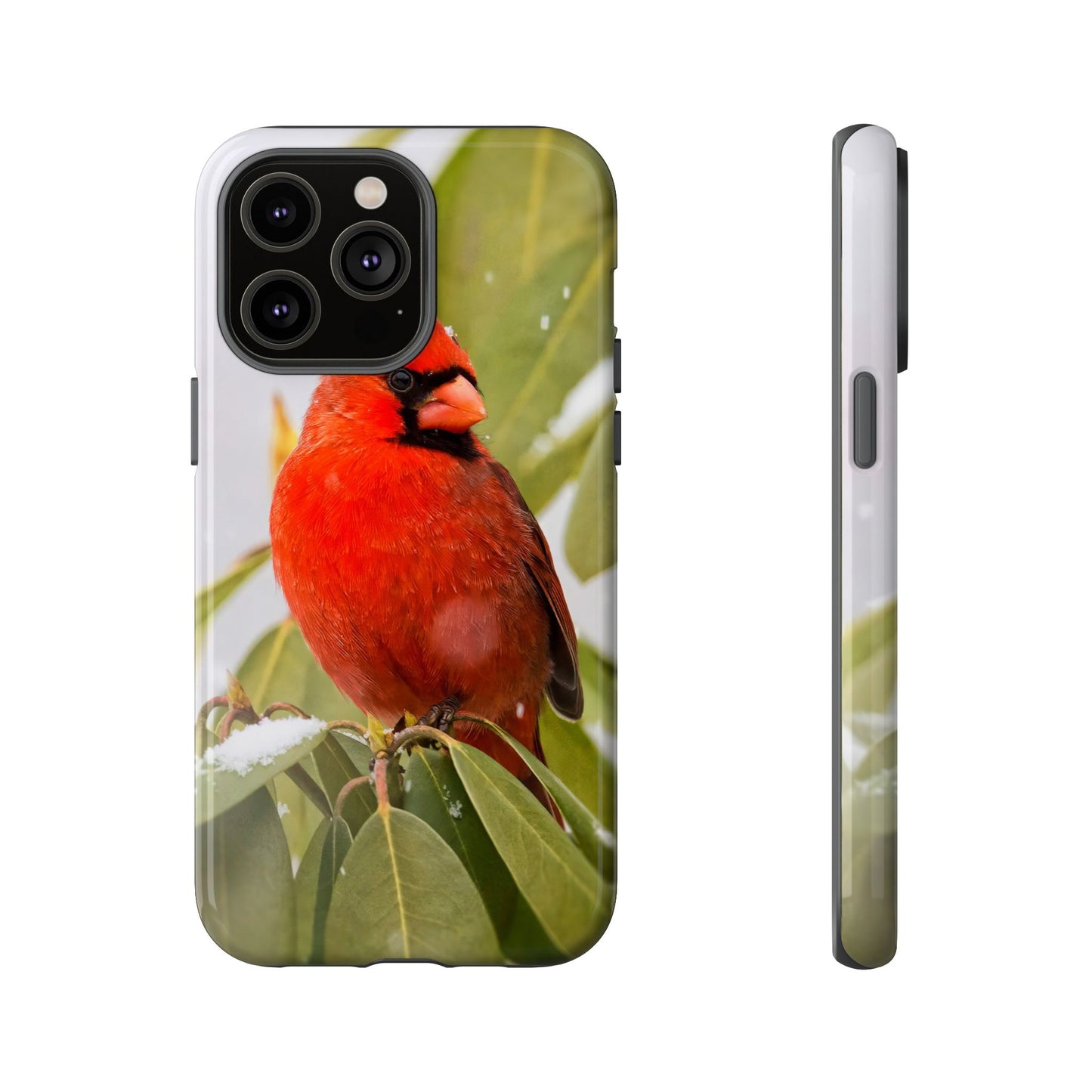 Male Cardinal - Tough Phone Case