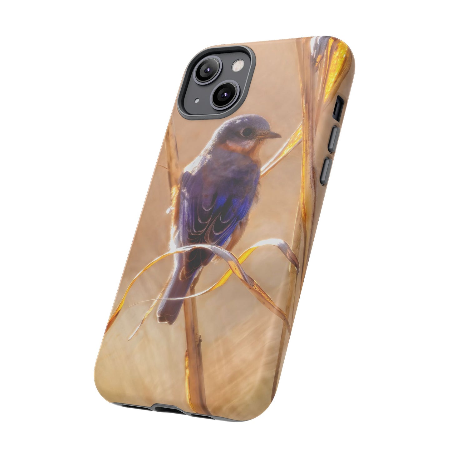 Eastern Bluebird - Tough Phone Case