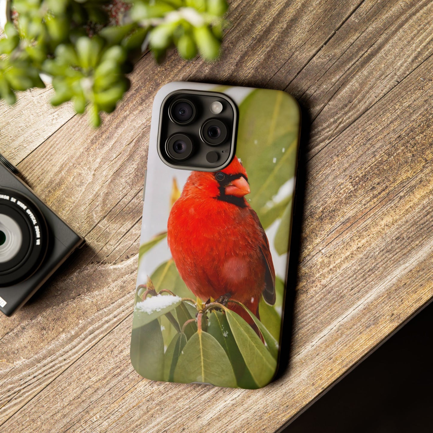 Male Cardinal - Tough Phone Case