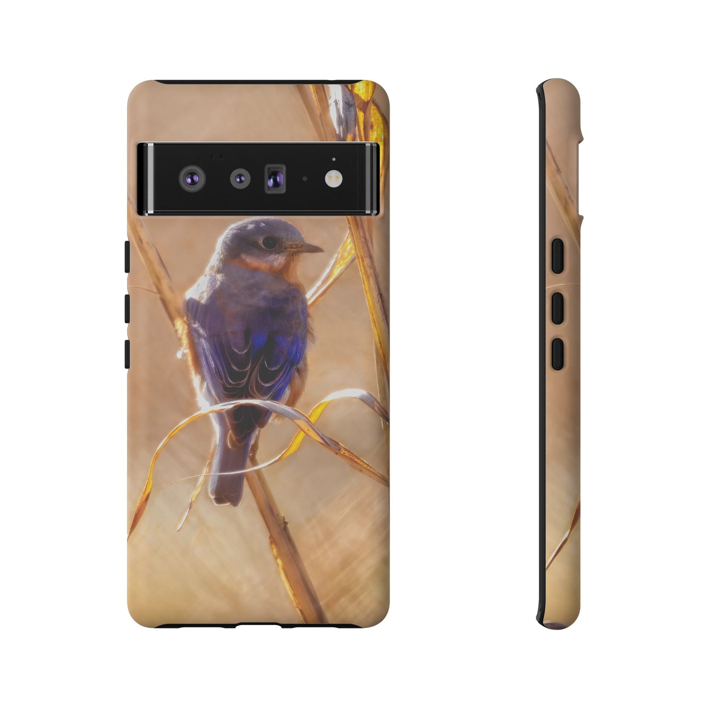 Eastern Bluebird - Tough Phone Case