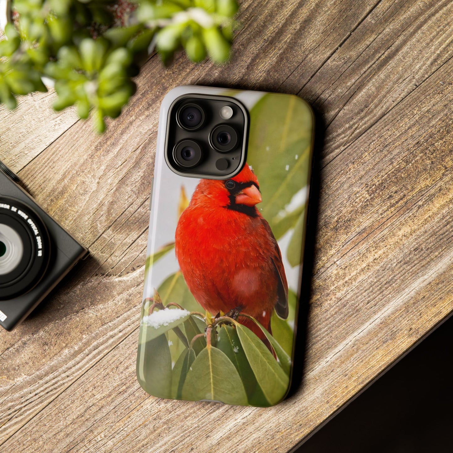 Male Cardinal - Tough Phone Case