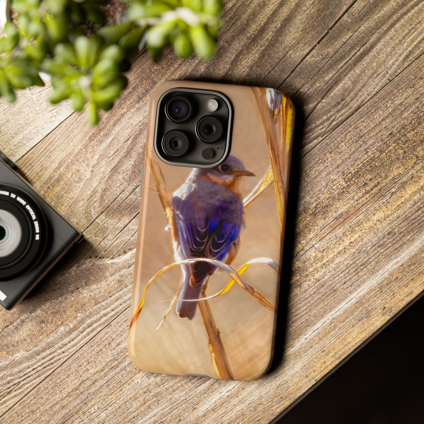 Eastern Bluebird - Tough Phone Case