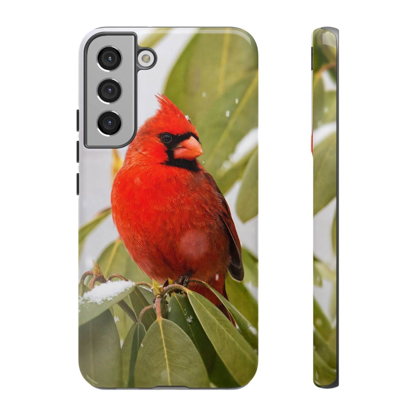 Male Cardinal - Tough Phone Case