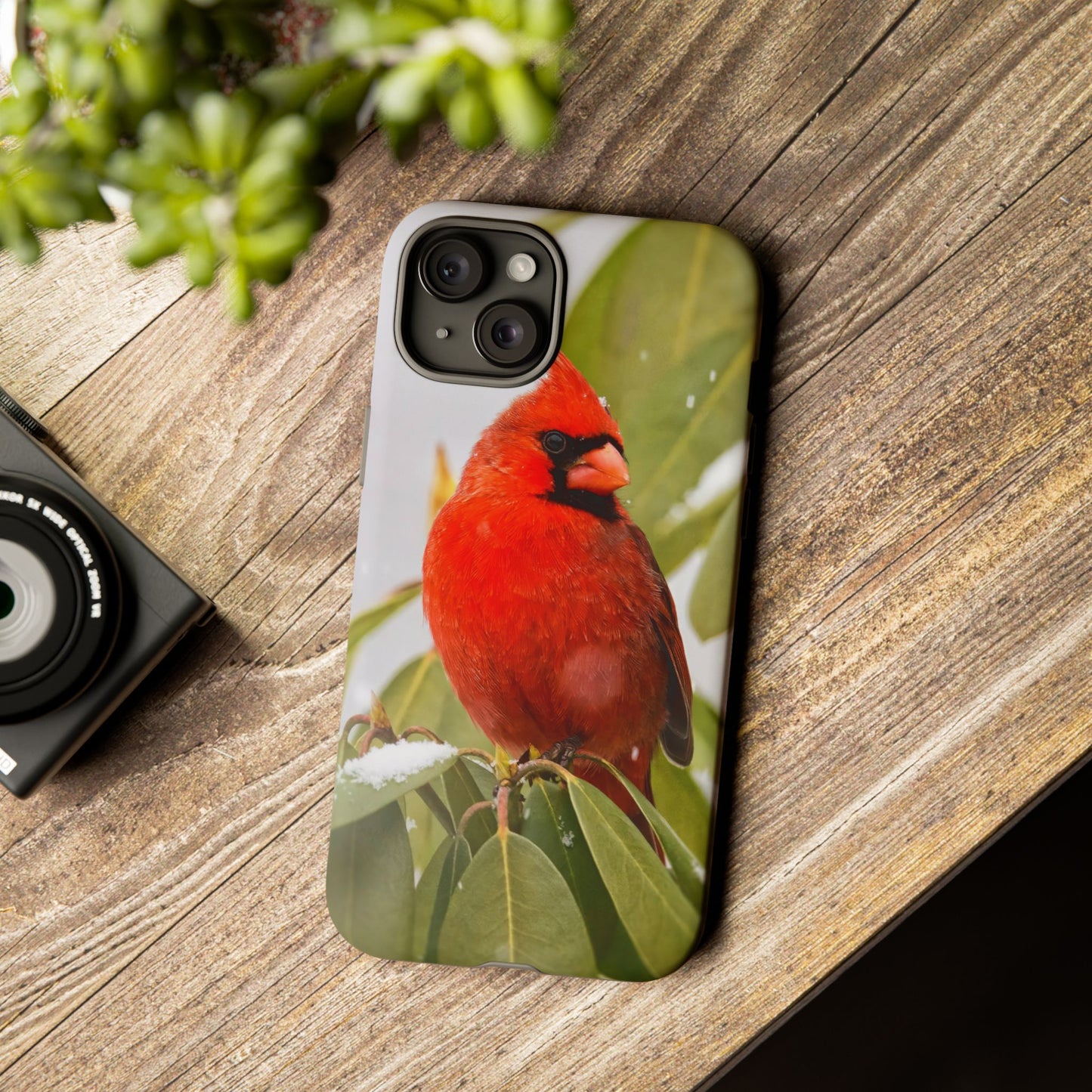 Male Cardinal - Tough Phone Case
