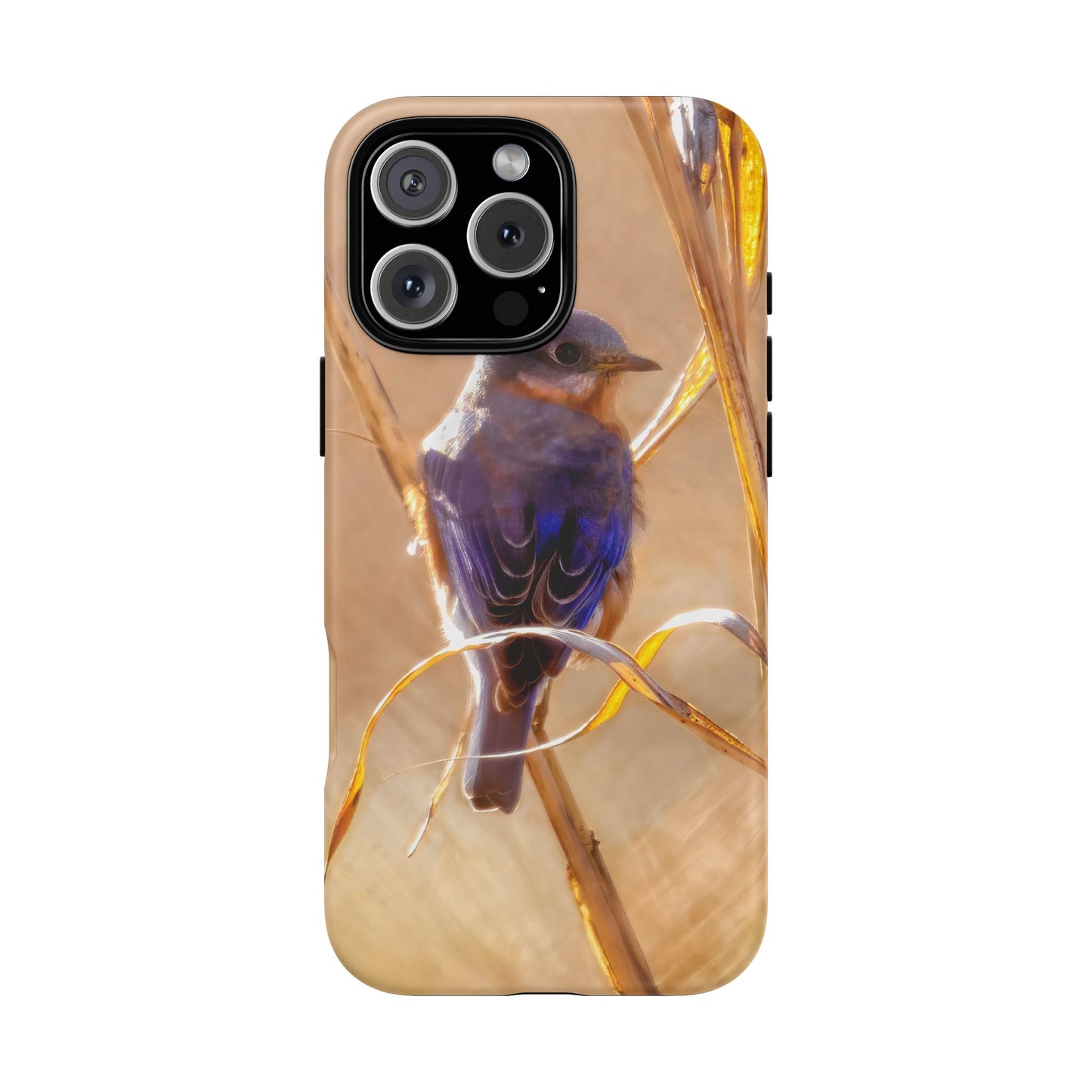 Eastern Bluebird - Tough Phone Case