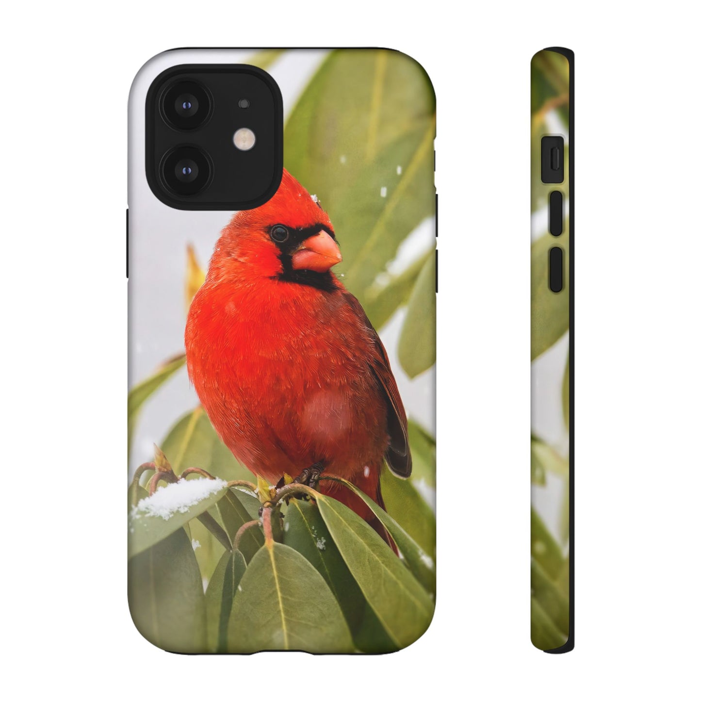 Male Cardinal - Tough Phone Case