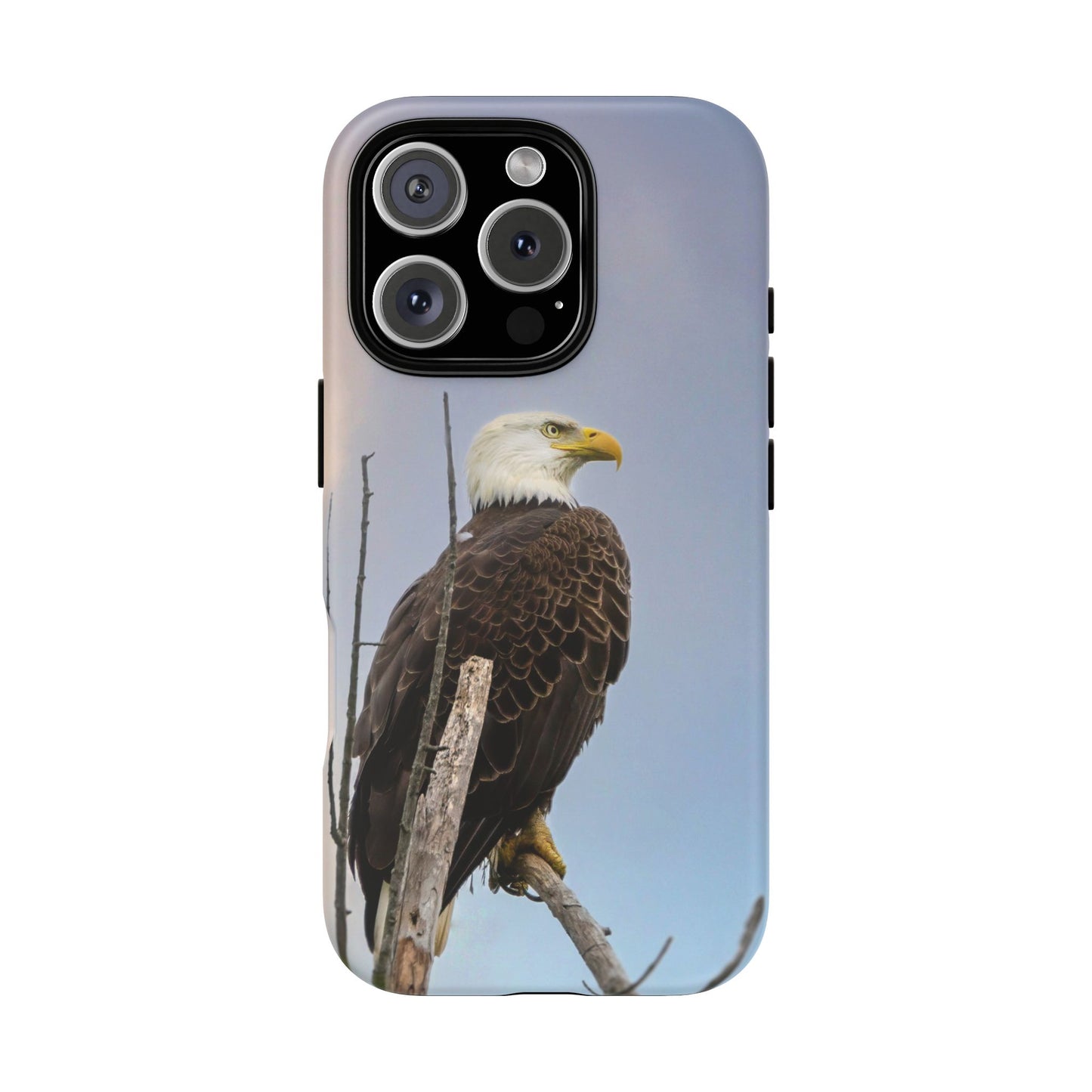 American Bald Eagle - Tough Phone Case