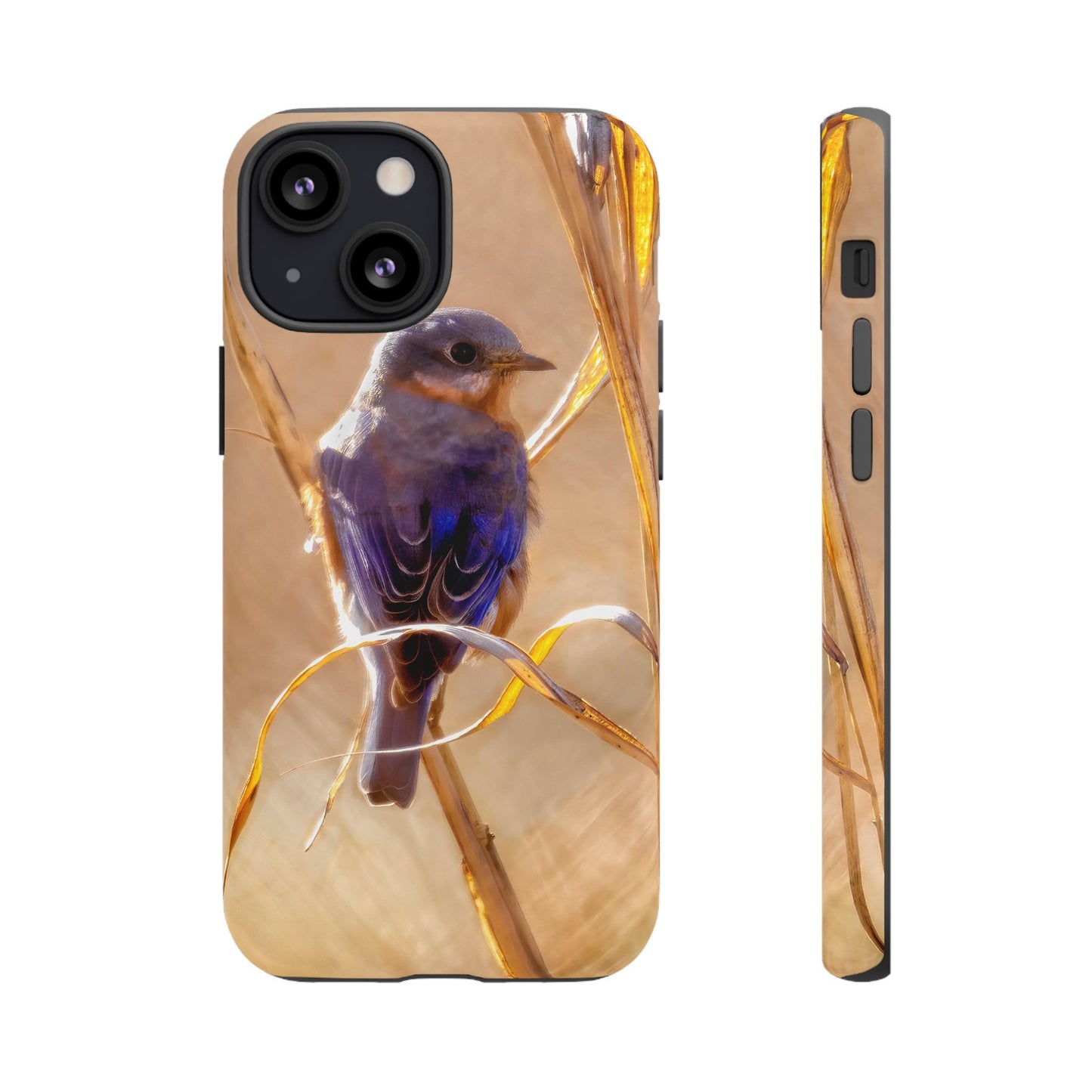 Eastern Bluebird - Tough Phone Case