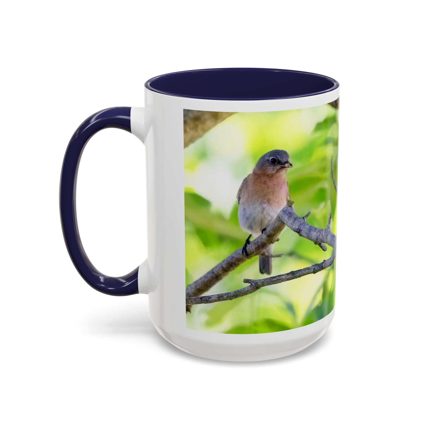 Bluebird pair - Variable color interior mug