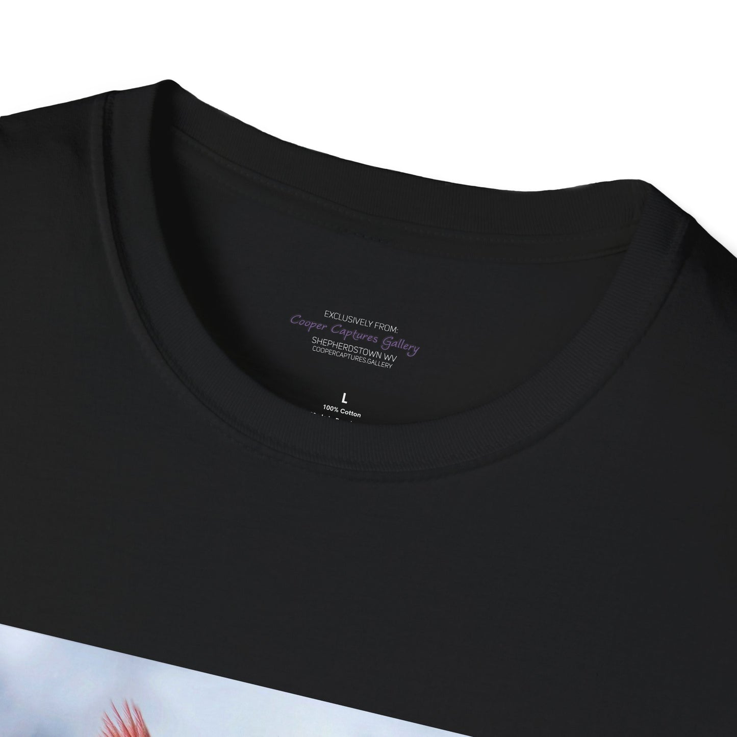 Cardinal Pair's "Snowy Chat" - T-shirt