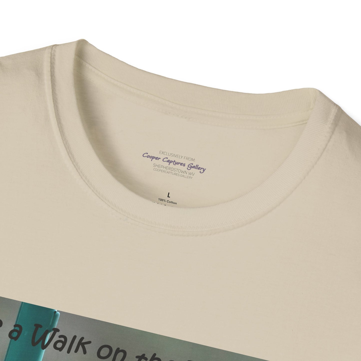 Bluebirds looking at real estate - T-shirt