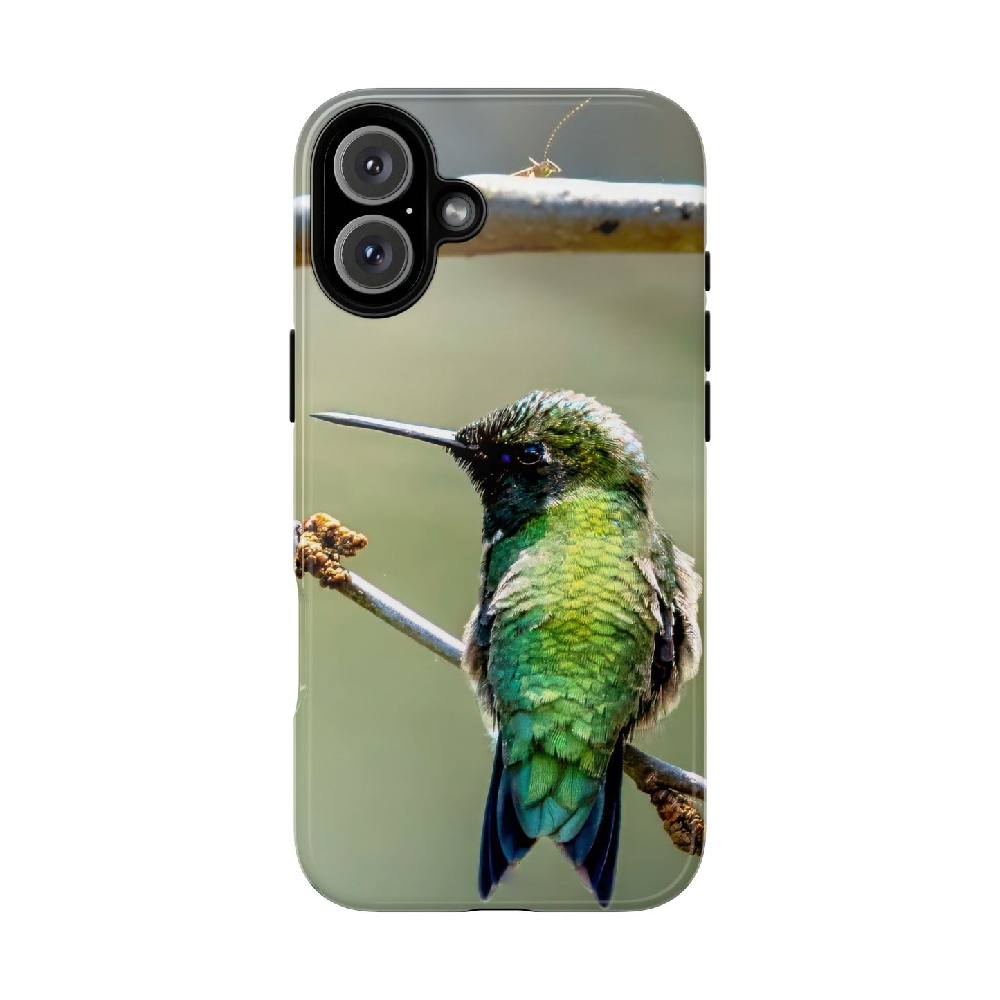 Hummingbird - Tough Phone Case