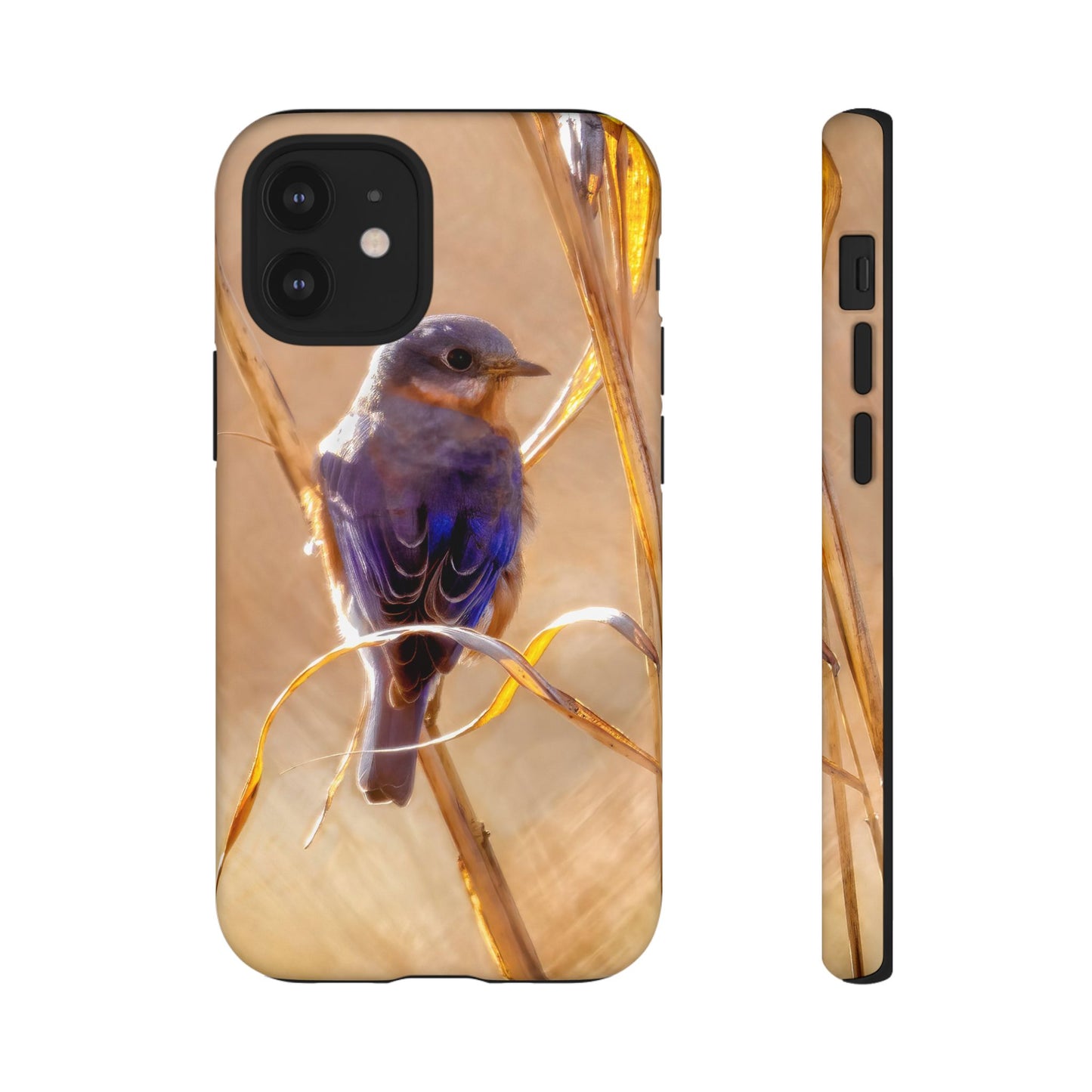 Eastern Bluebird - Tough Phone Case