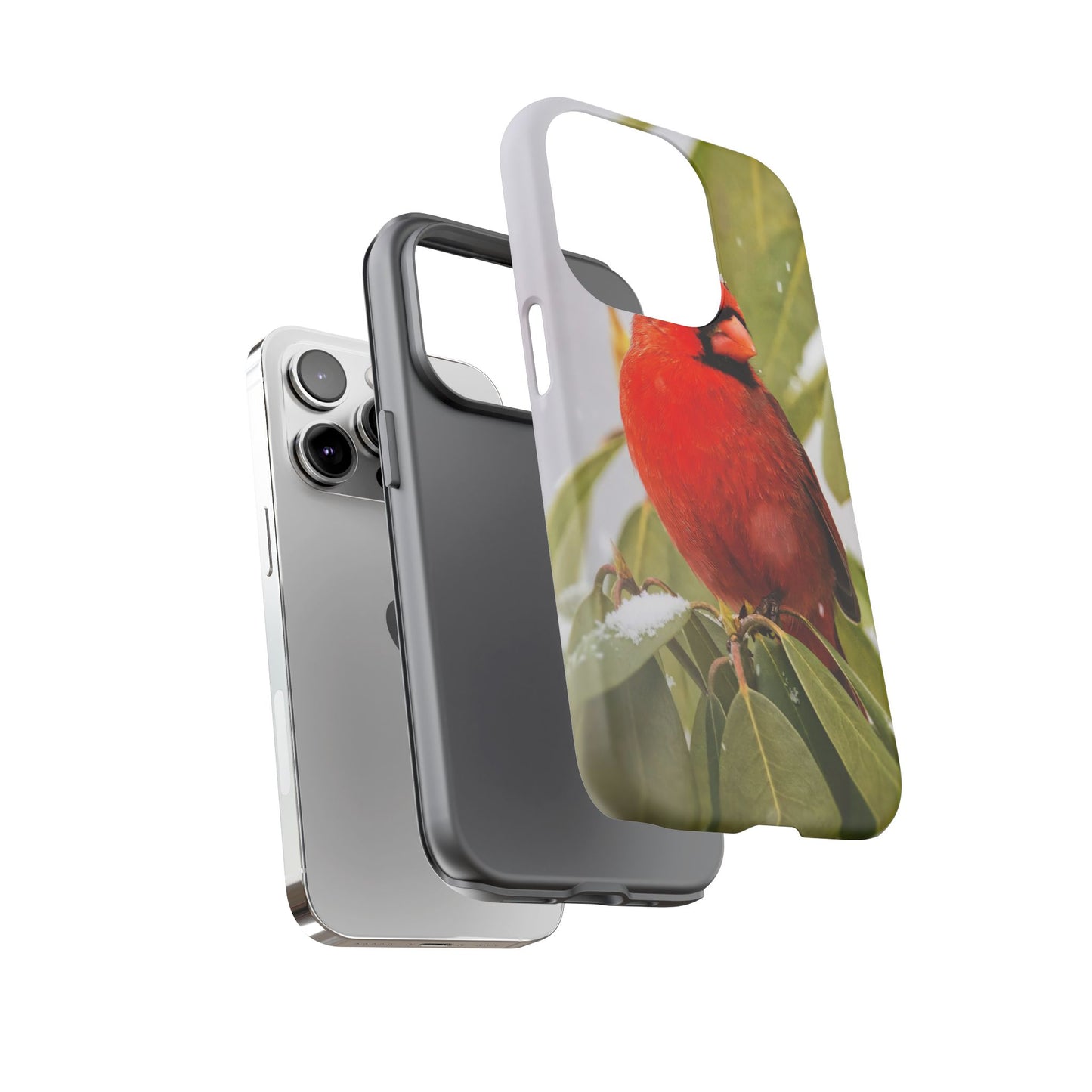 Male Cardinal - Tough Phone Case