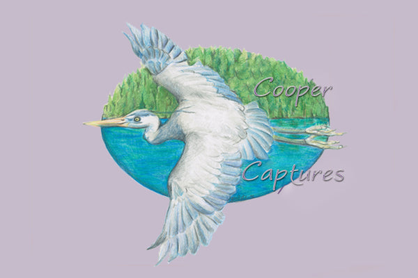 Cooper Captures Gallery