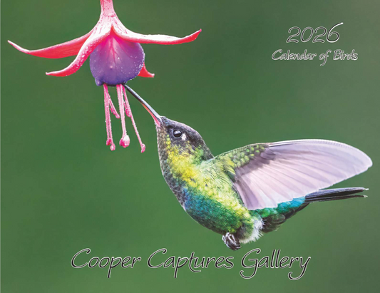 2026 Bird Calendar