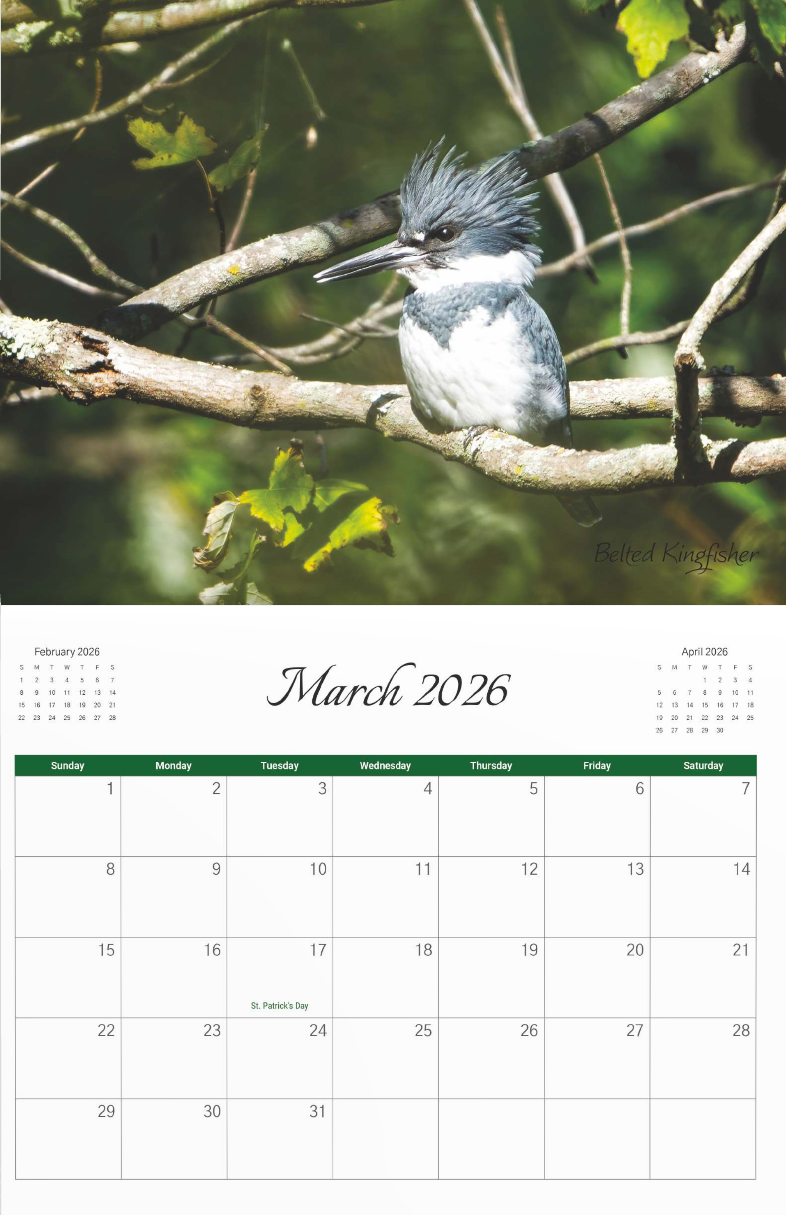2026 Bird Calendar