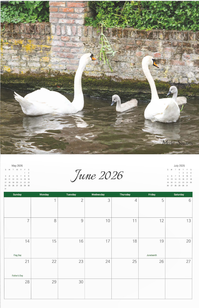2026 Bird Calendar