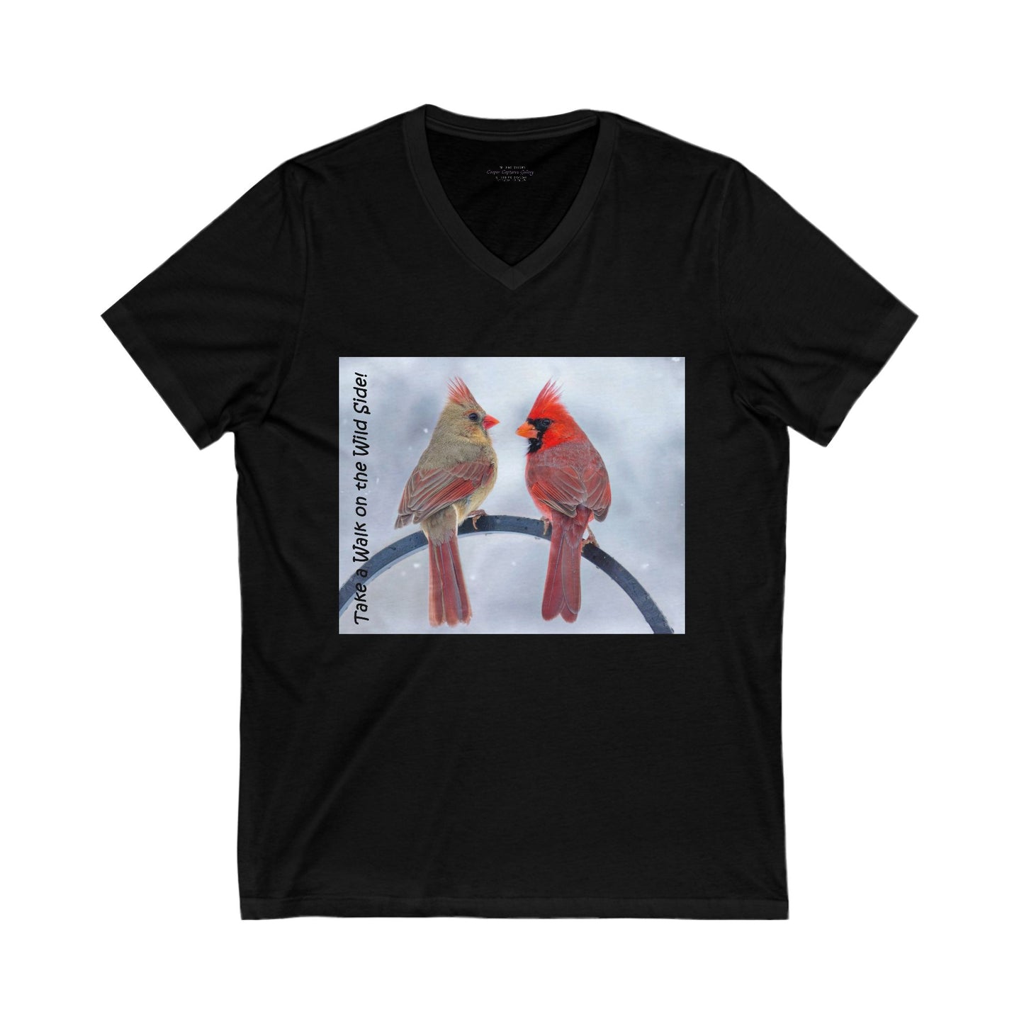 Cardinal Pair's "Snowy Chat" - V-Neck Tee-Shirt