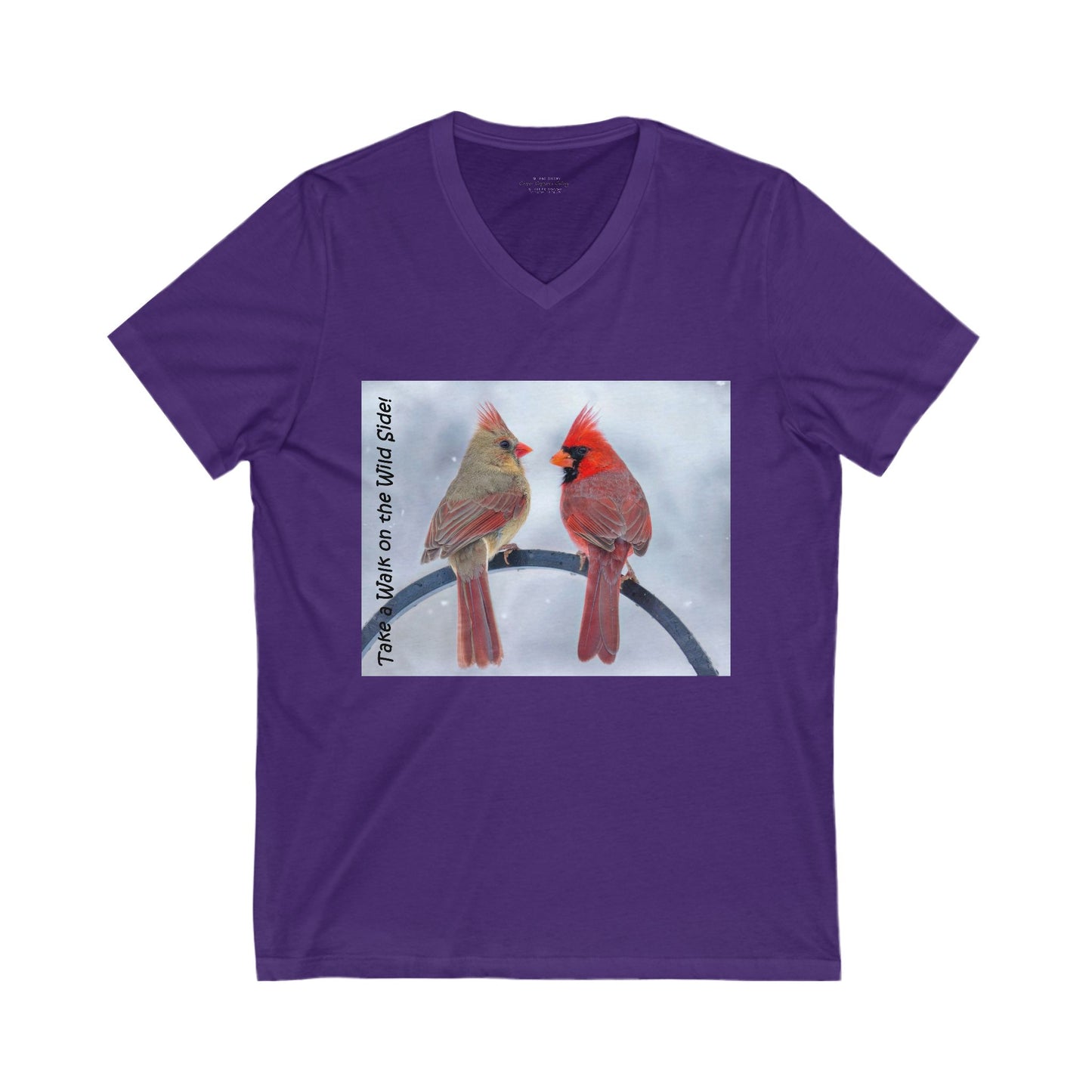 Cardinal Pair's "Snowy Chat" - V-Neck Tee-Shirt