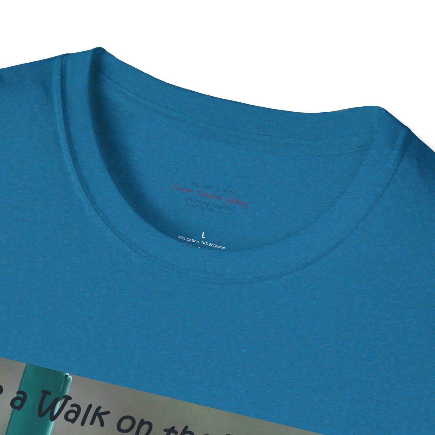 Bluebirds looking at real estate - T-shirt