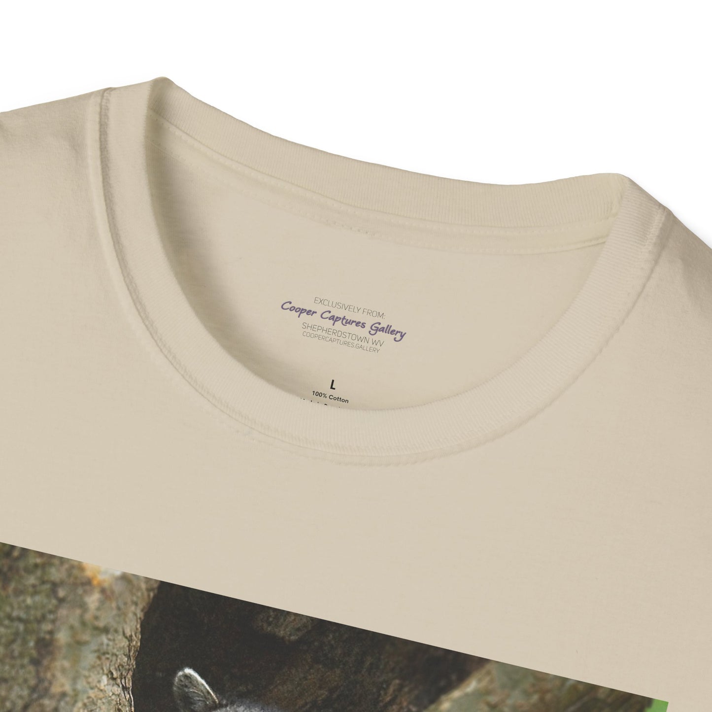 Playful raccoon in a tree hole with "Private Property" sign - T-shirt