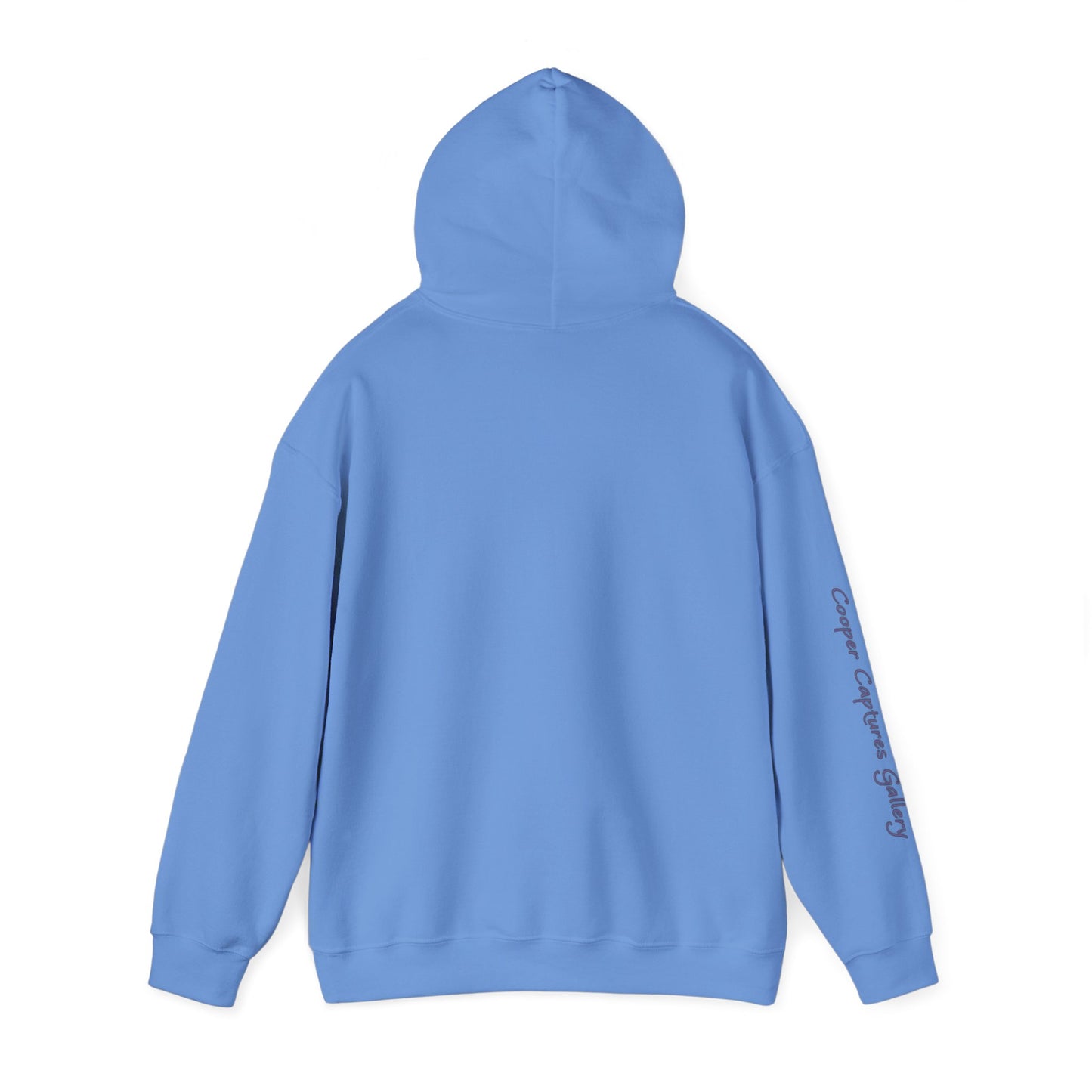 American Bald Eagle in Flight - Heavy Blend™ Hooded Sweatshirt