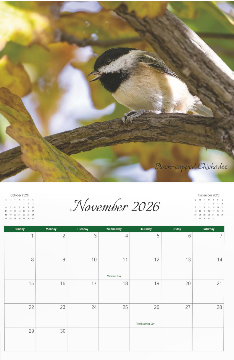 2026 Bird Calendar